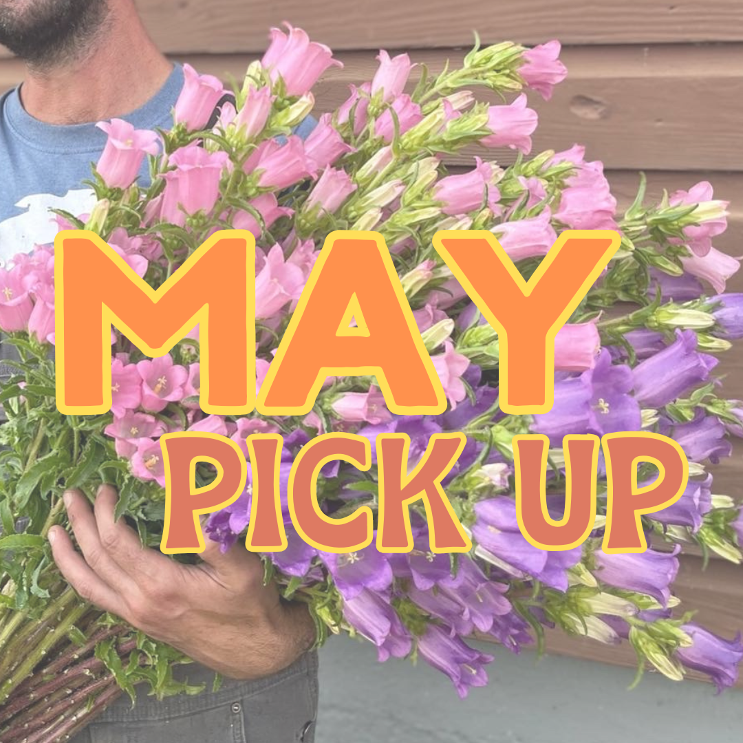 MAY Pick Up
