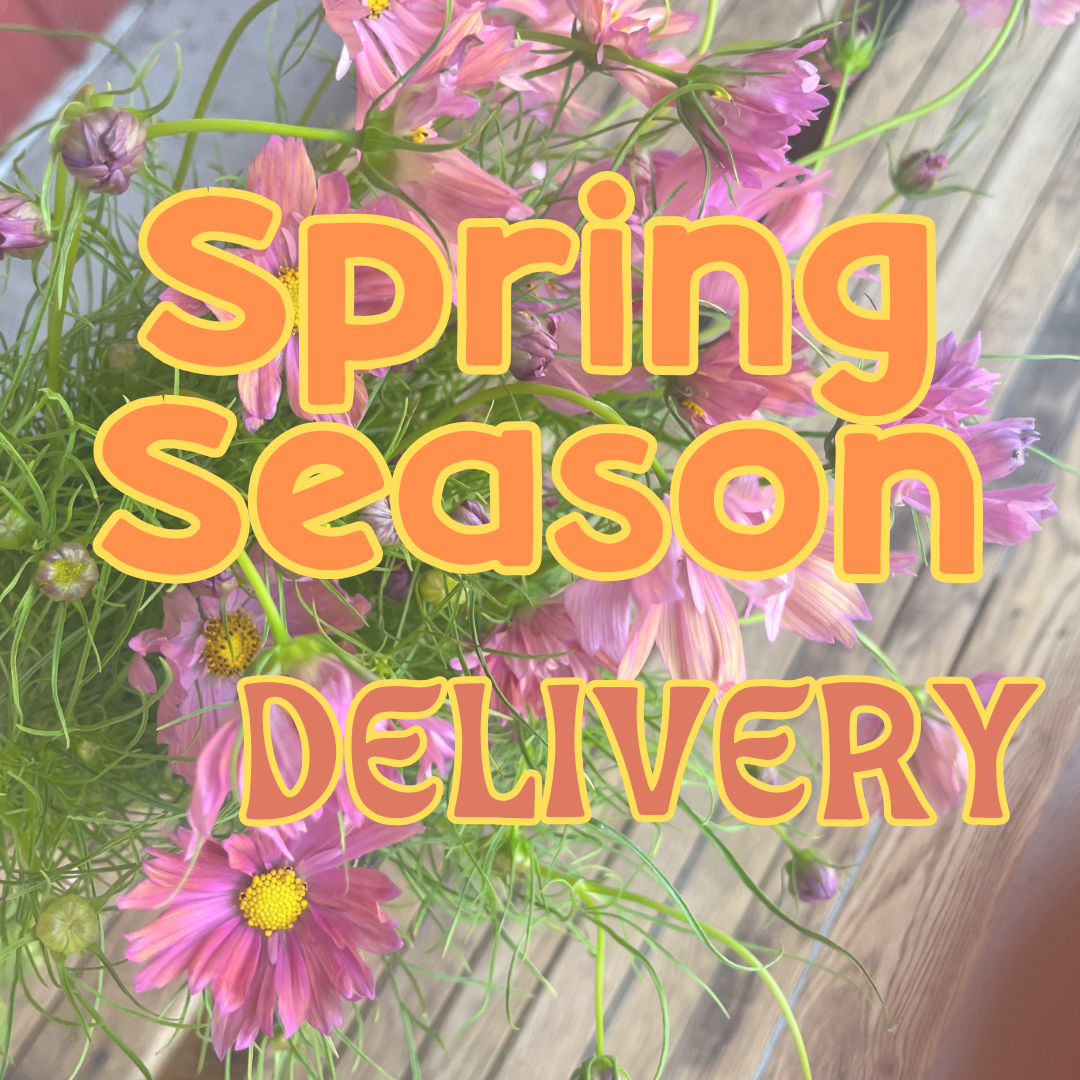 Spring Season Bouquet Share - Weekly Delivery