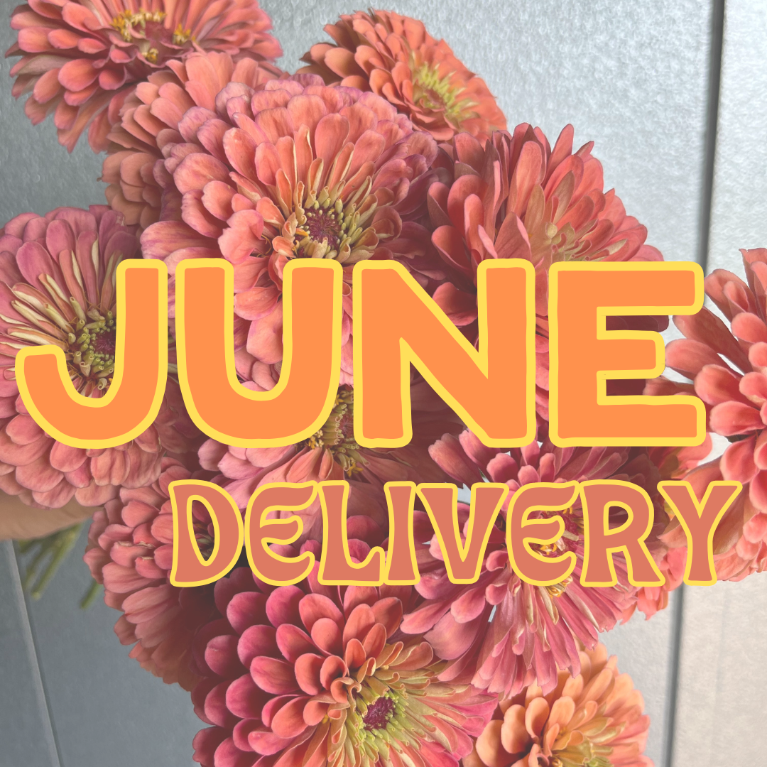 JUNE Delivery