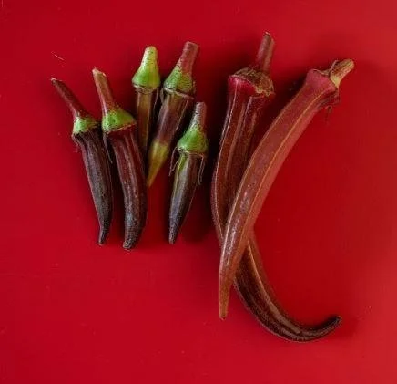 Okra - Sea Island Red