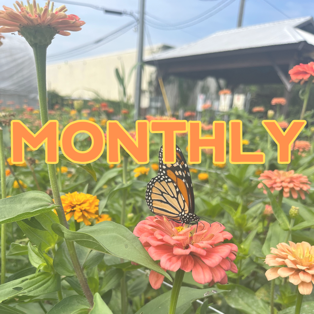 Monthly Bouquet Share