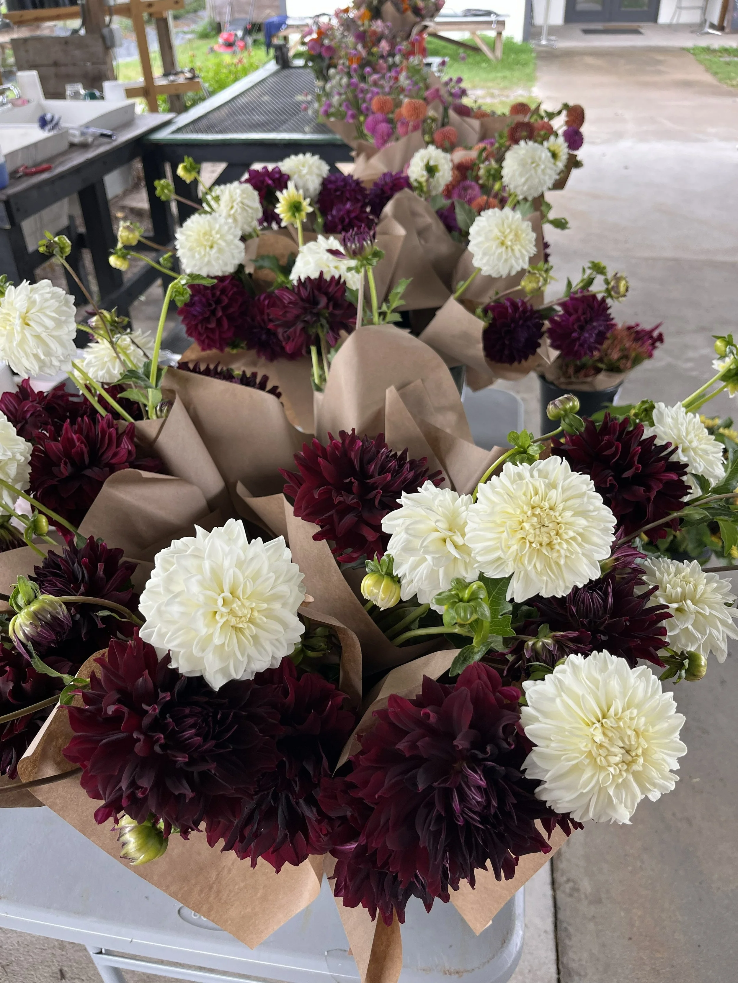 Multiple bouquets of white and dark purple dahlias wrapped in brown paper, arranged on a table in an outdoor setting.