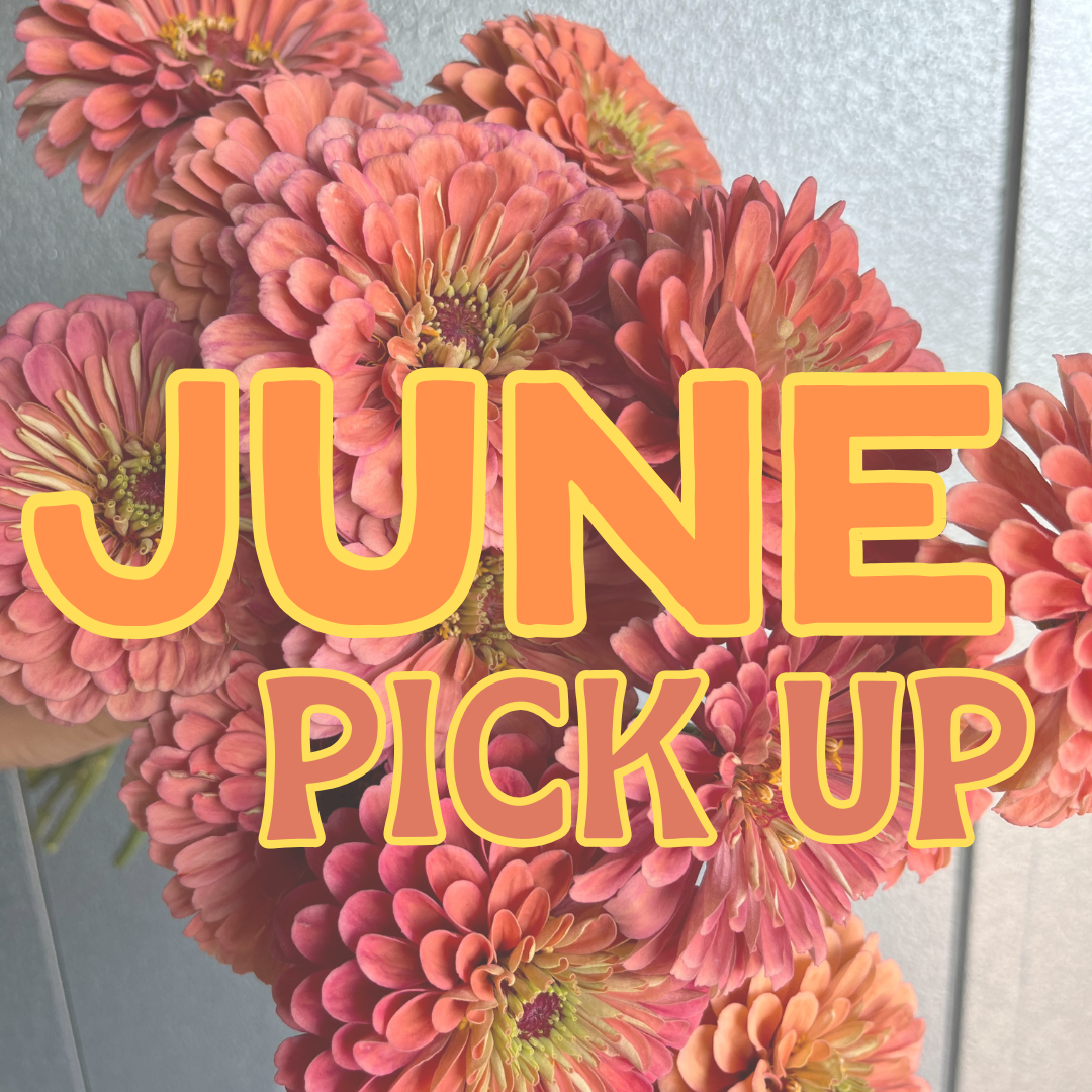 JUNE Pick Up