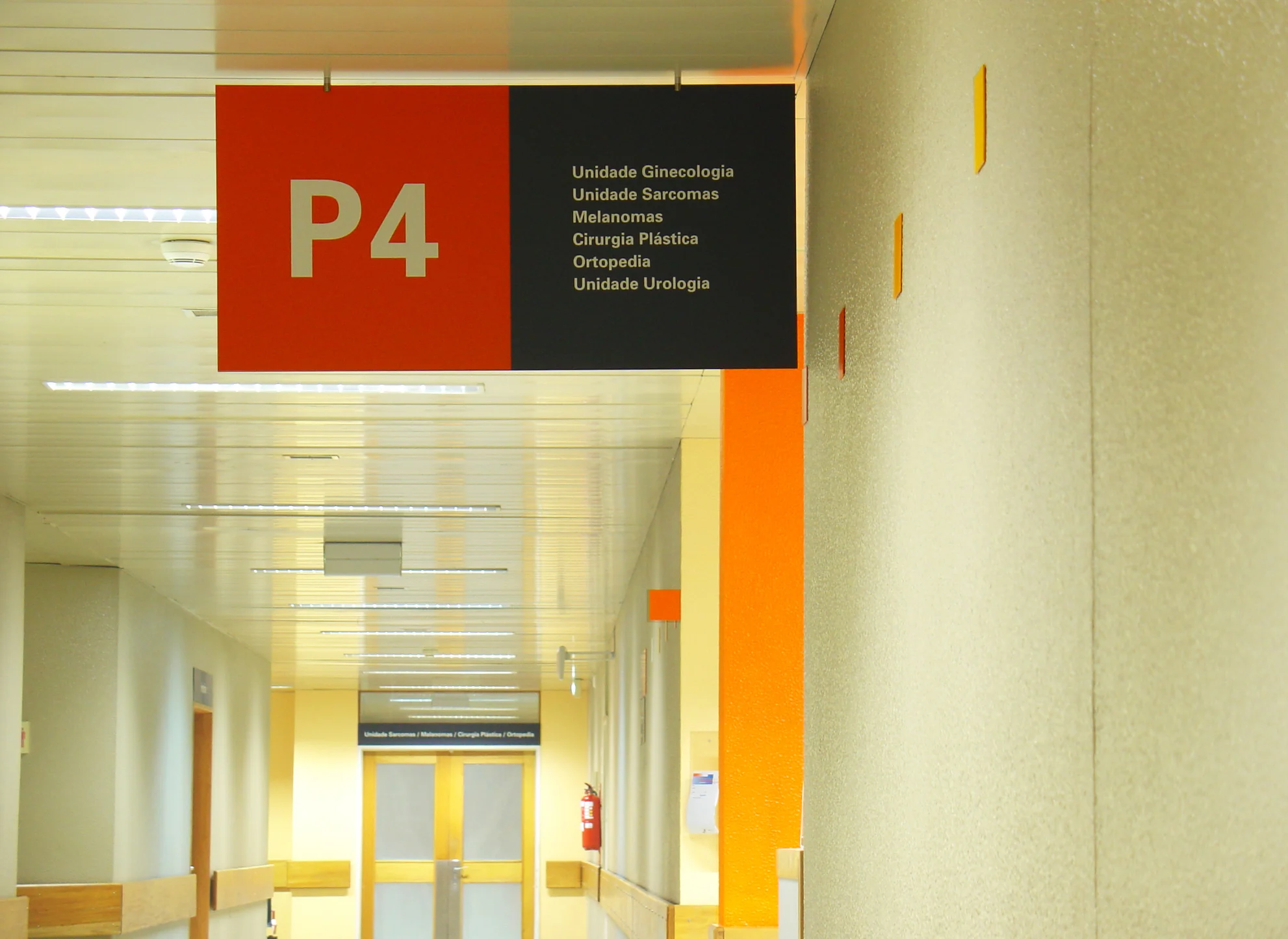 ipo05.jpg
