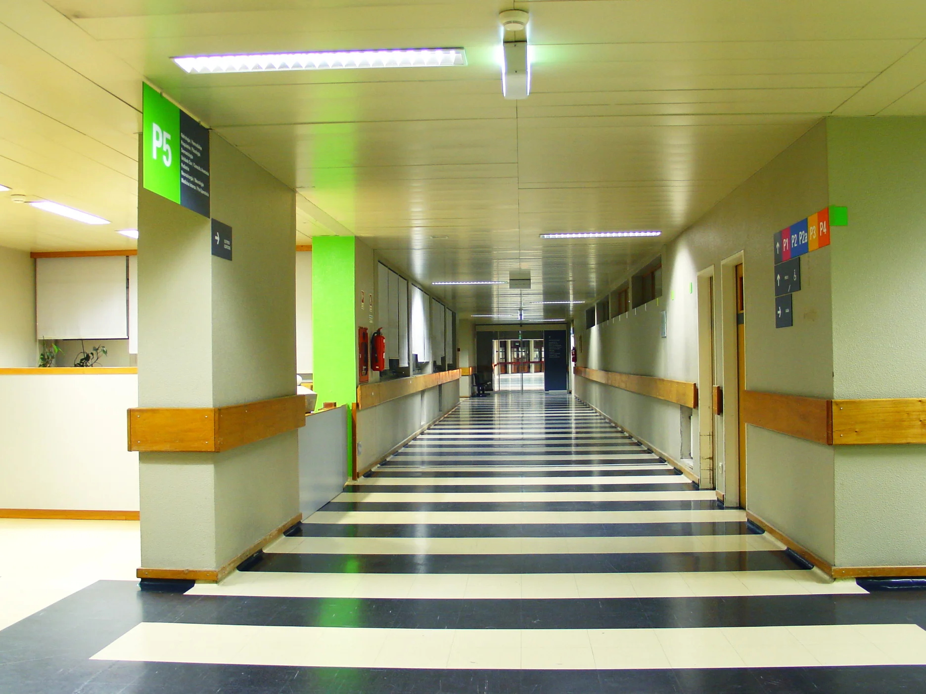ipo03.jpg