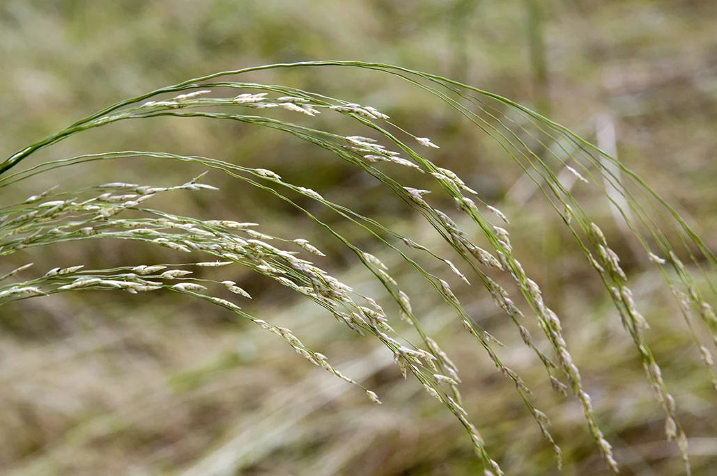 iStock-513533867.jpg