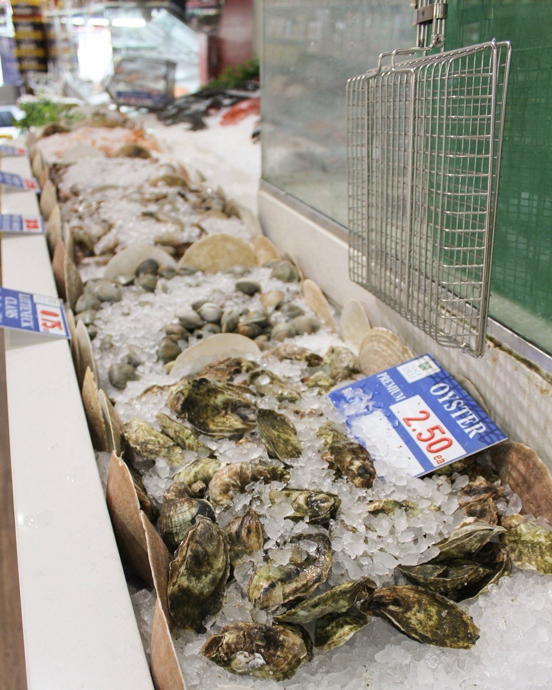 Fresh oysters in the house! 🦪