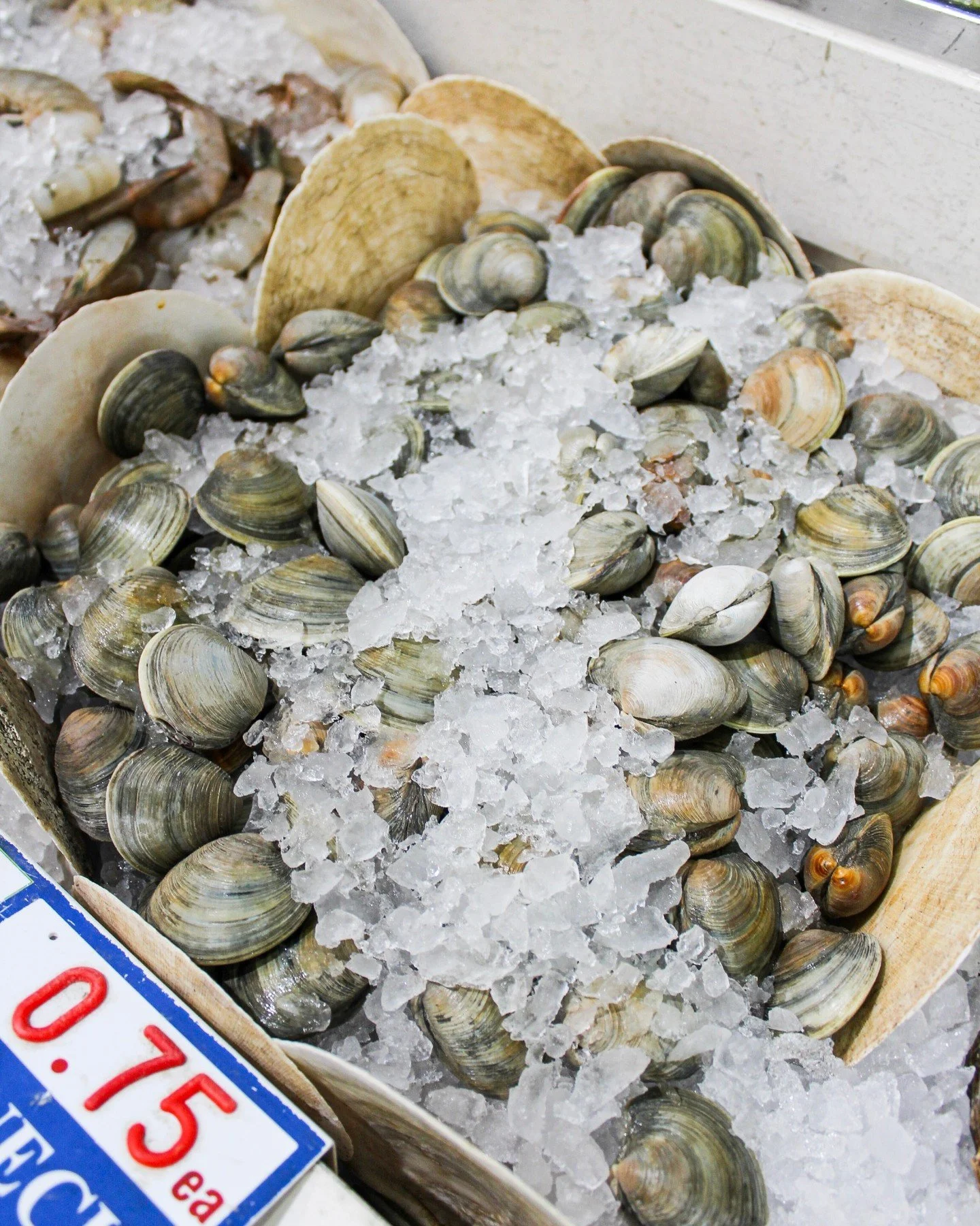 Our little neck clams are farm raised from the James River in Virginia and are the smallest of the hard shell clam family. 

With a mild and briny flavor, the small size makes them tender and juicy. Saute with butter and white wine for an easy, delic
