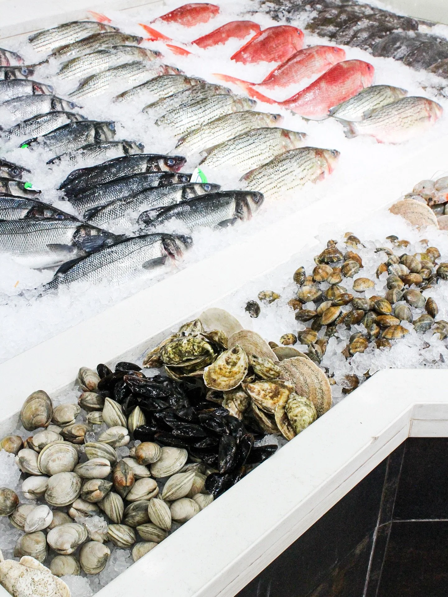 Stocked &amp; ready for your holiday shopping. 🌲

#freshfish #bethesda