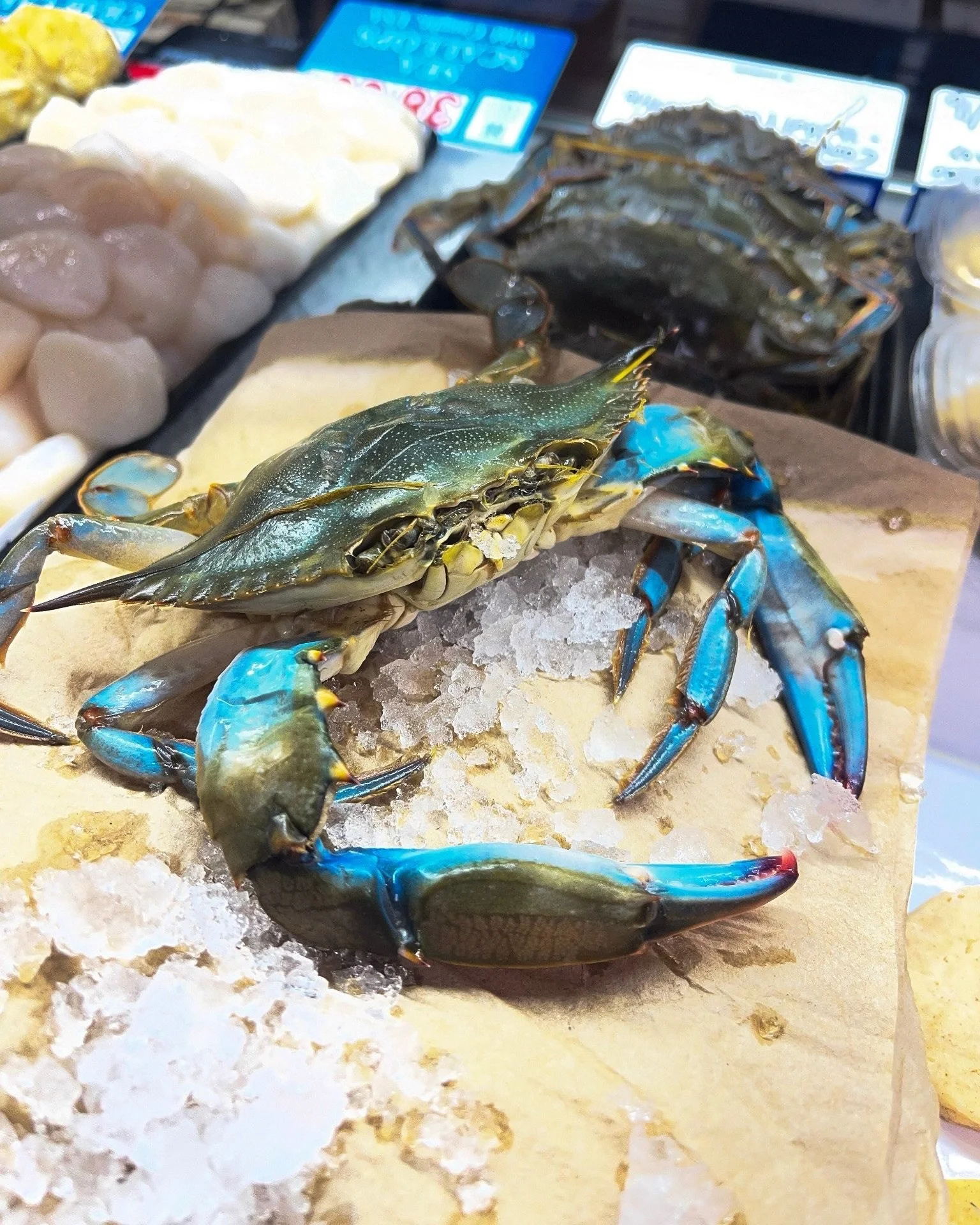 We have some really nice large soft shell crabs in this weekend! These will go fast!
⠀⠀⠀⠀⠀⠀⠀⠀⠀
#softshellcrabs #bethesdamd #dmvseafood