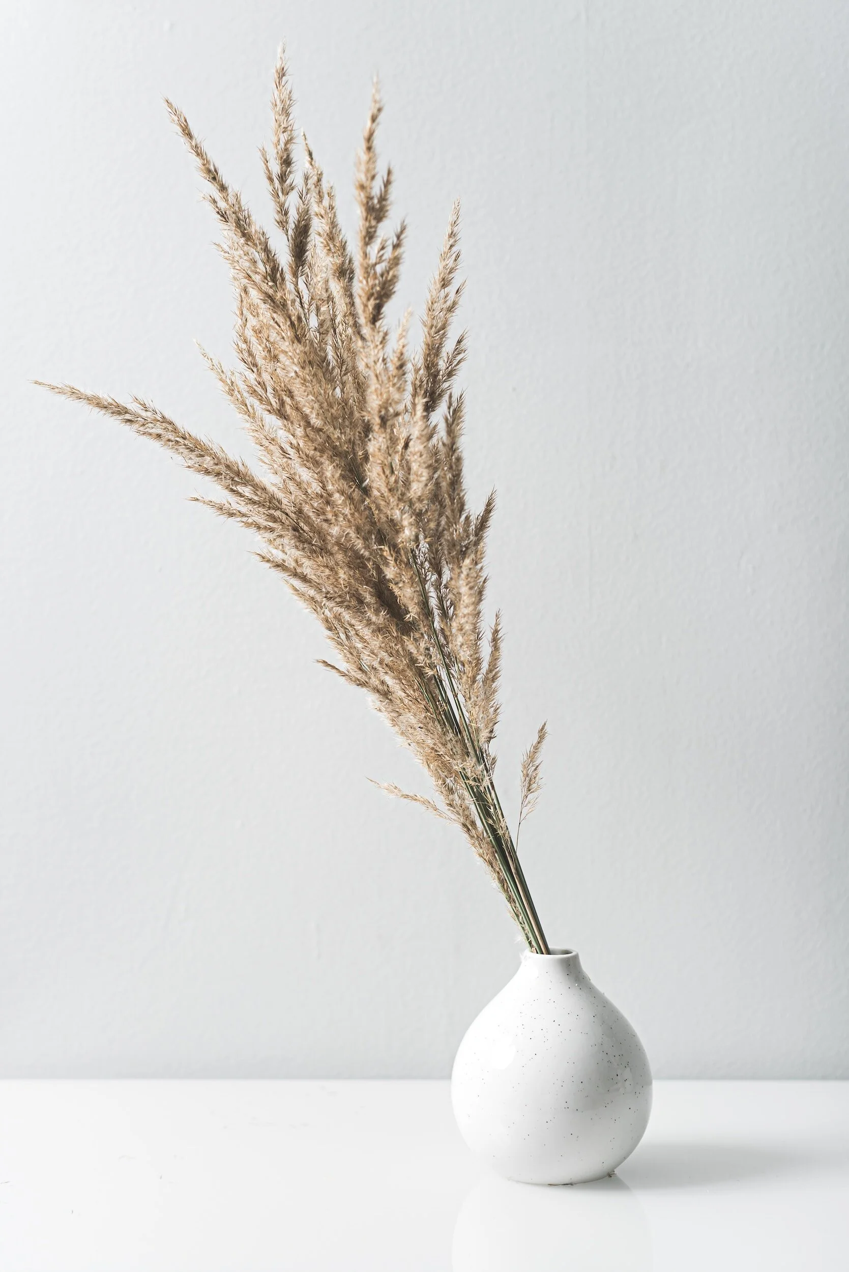 Minimalist Fall Decor: Less is More for a Seasonally Simple Home