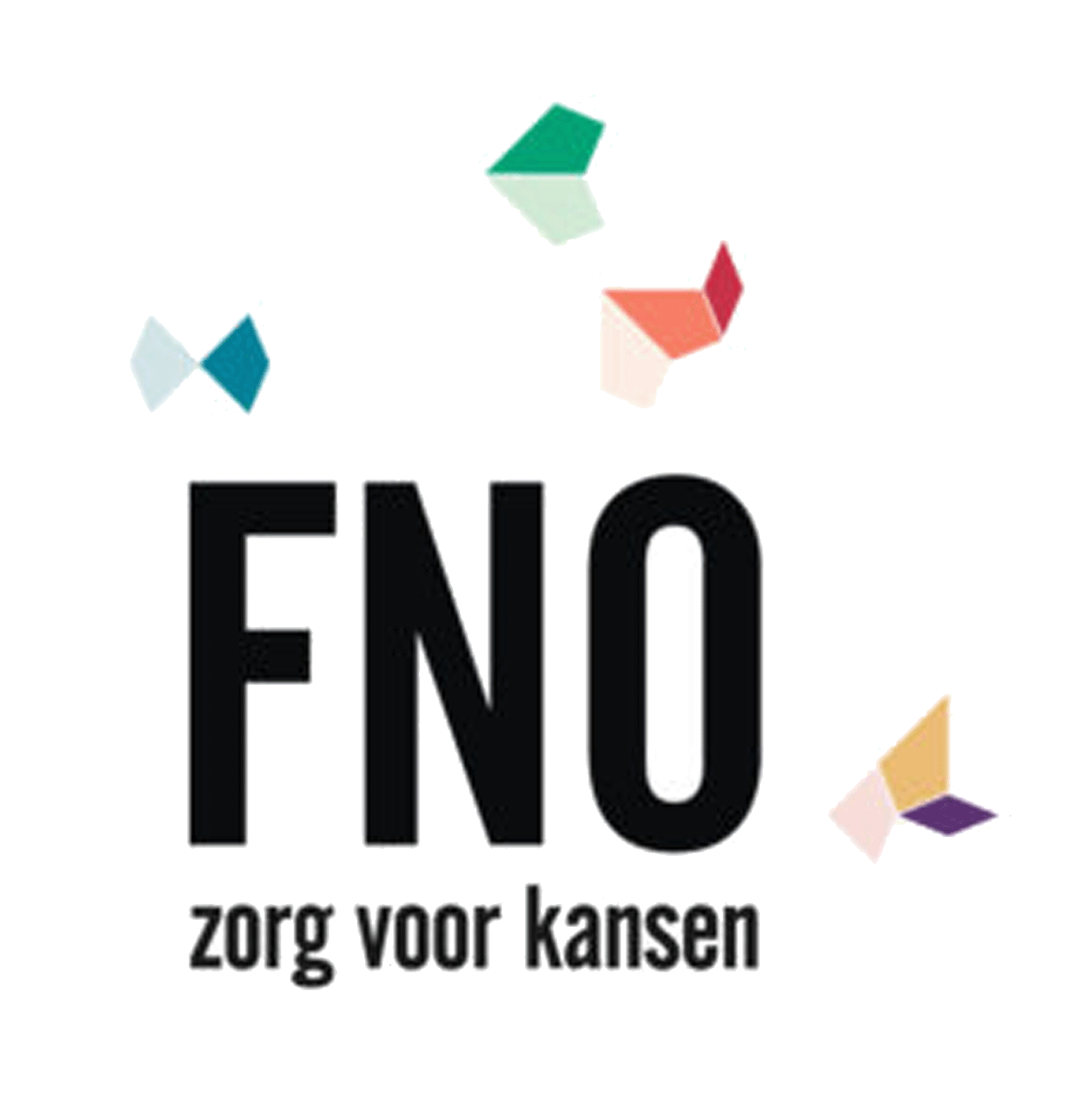 LOGO_FNO_NB.gif