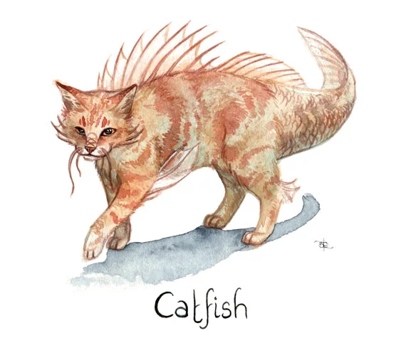 570_Catfish.jpg