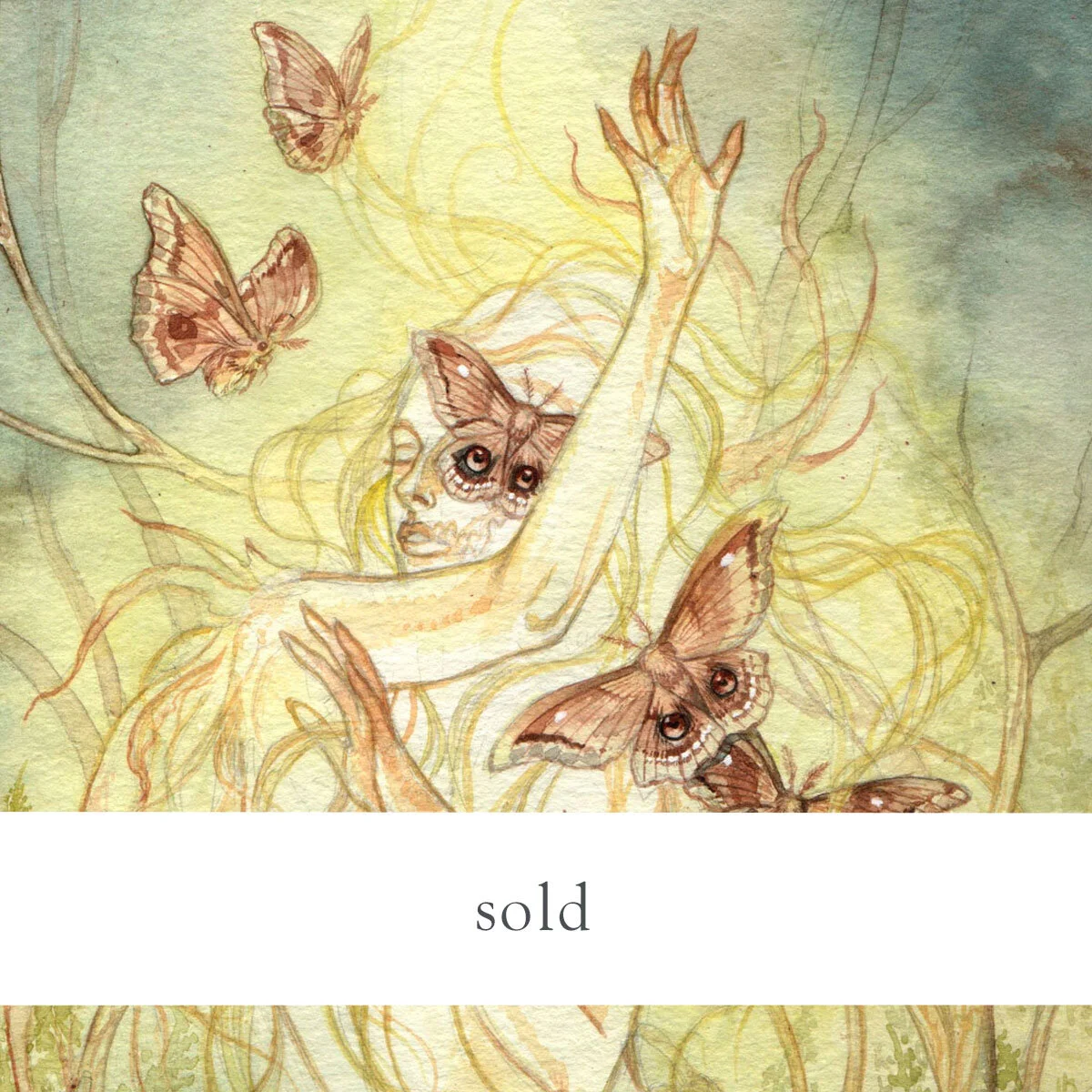 Will O the Wisp, 2019