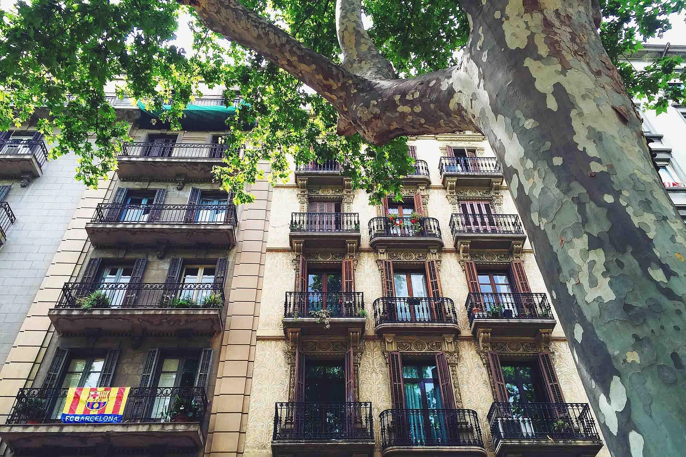 Cataluna Building