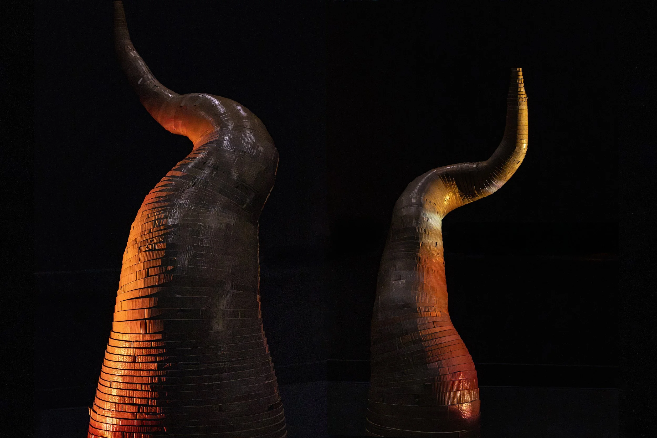 circle pic cut together.jpg