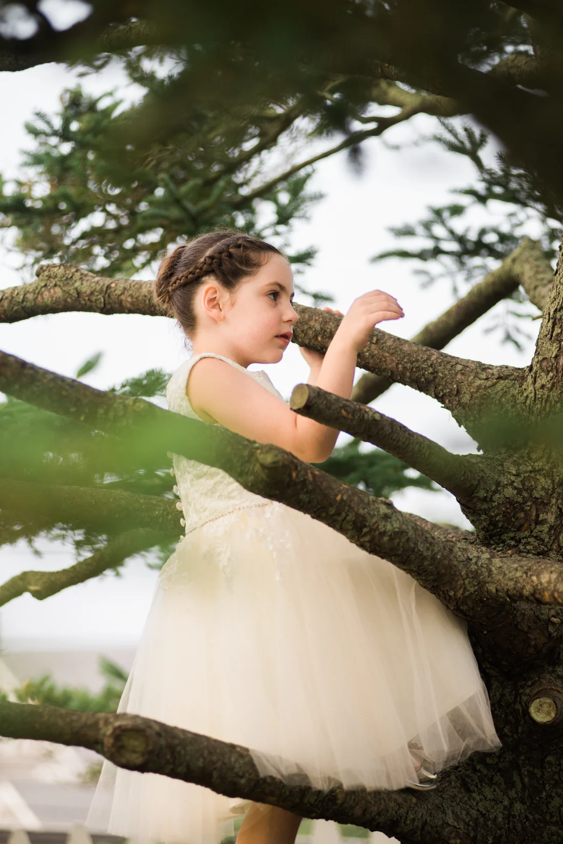 Ephemera Designs Block Island, RI Authentic Wedding Photography Child in Tree