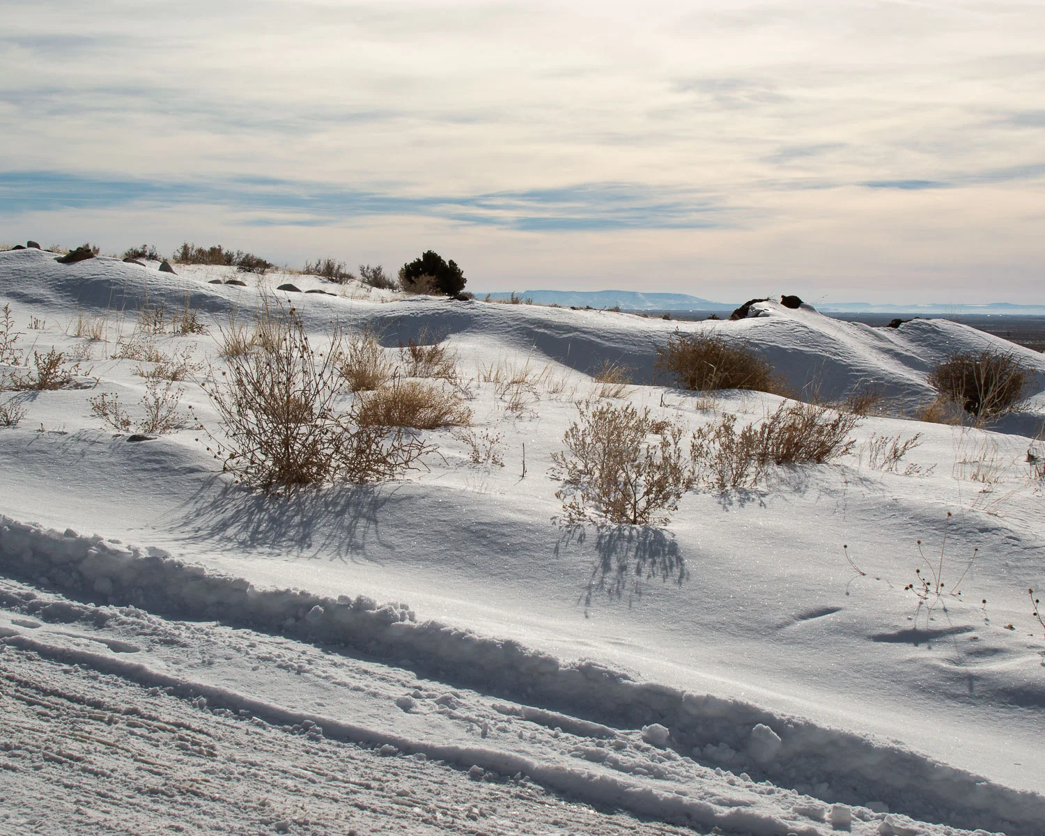 DSC_0140.jpg