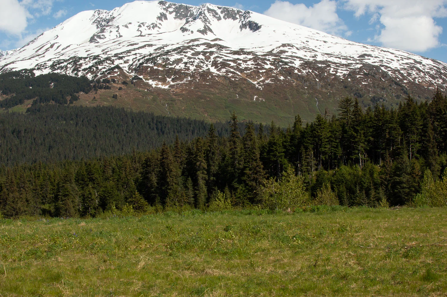 DSC_0002.jpg