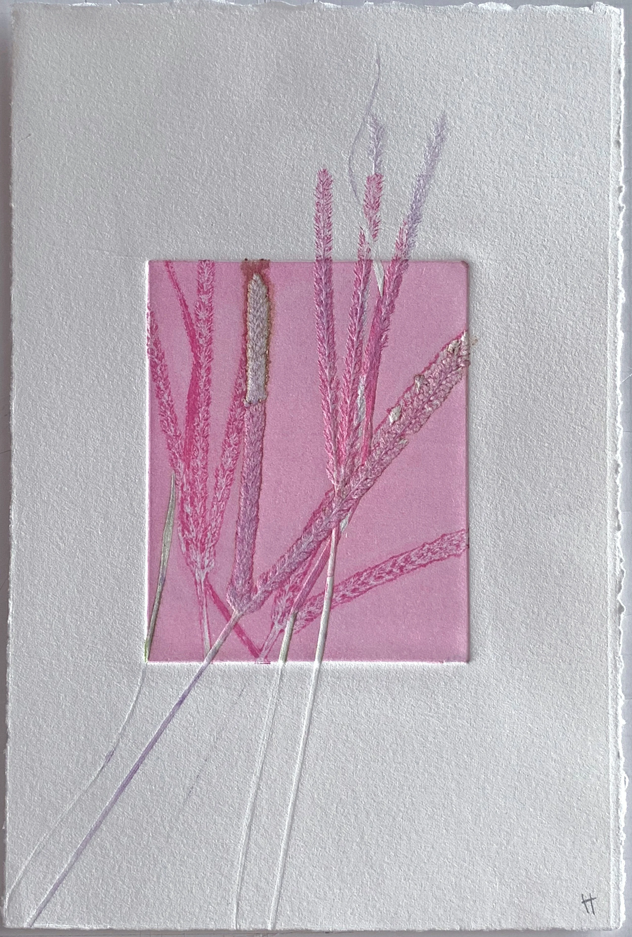 GrassTannin&PinkSmall3KarinEdgett.11x7.5.2018.jpg
