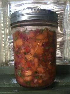 Fermented mango salsa!
