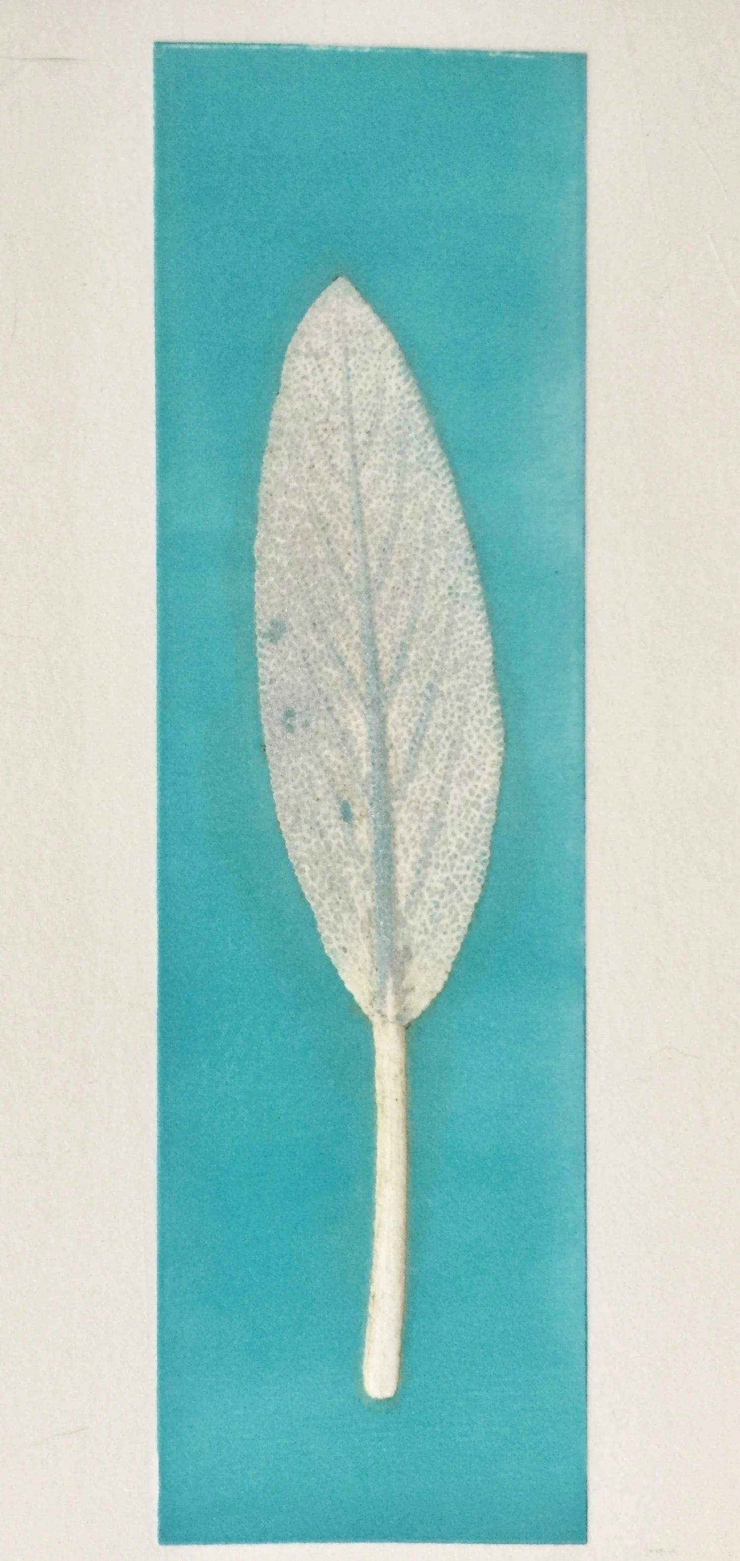 tannins and pattern from fresh grass against a inked background