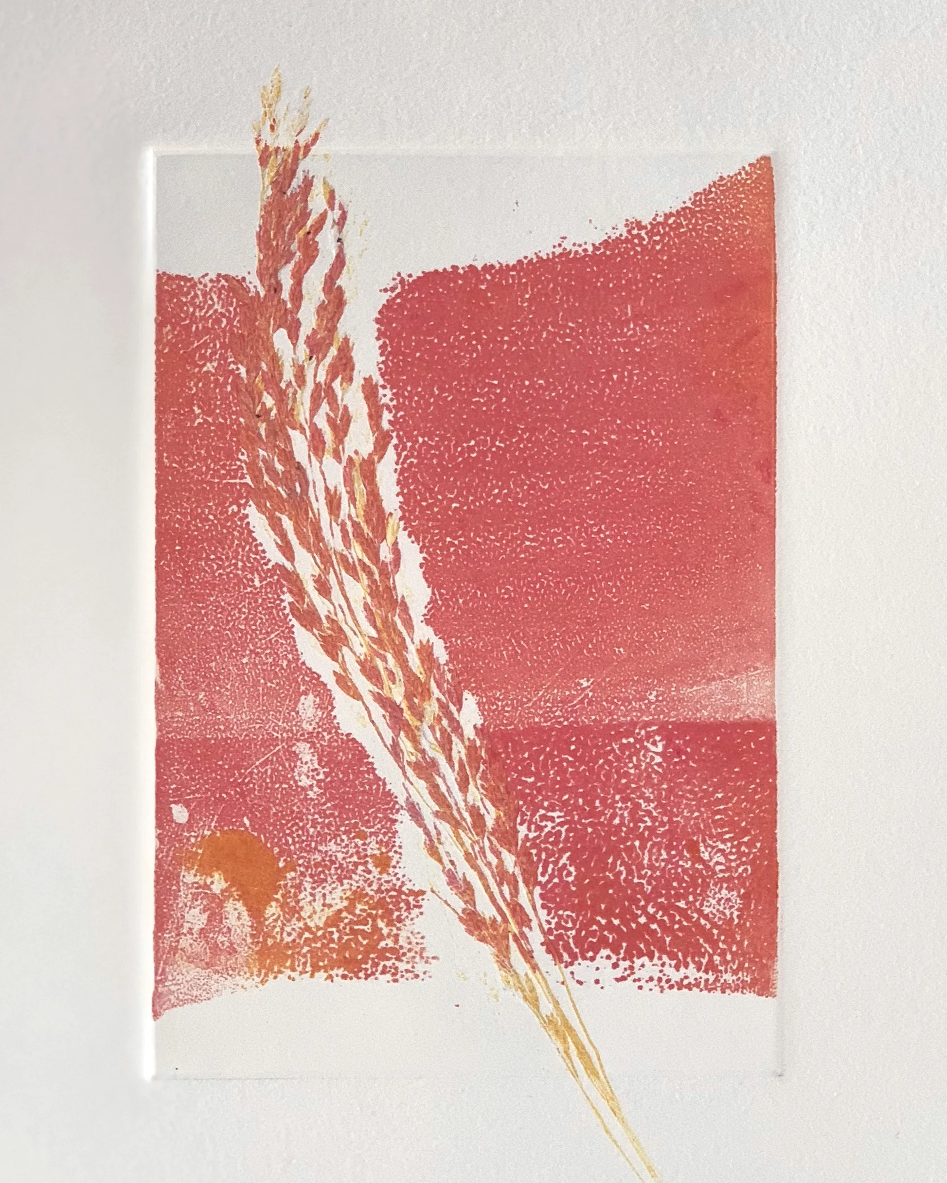 on-going ~ plant prints with tannin and pattern at Washington Printers Gallery