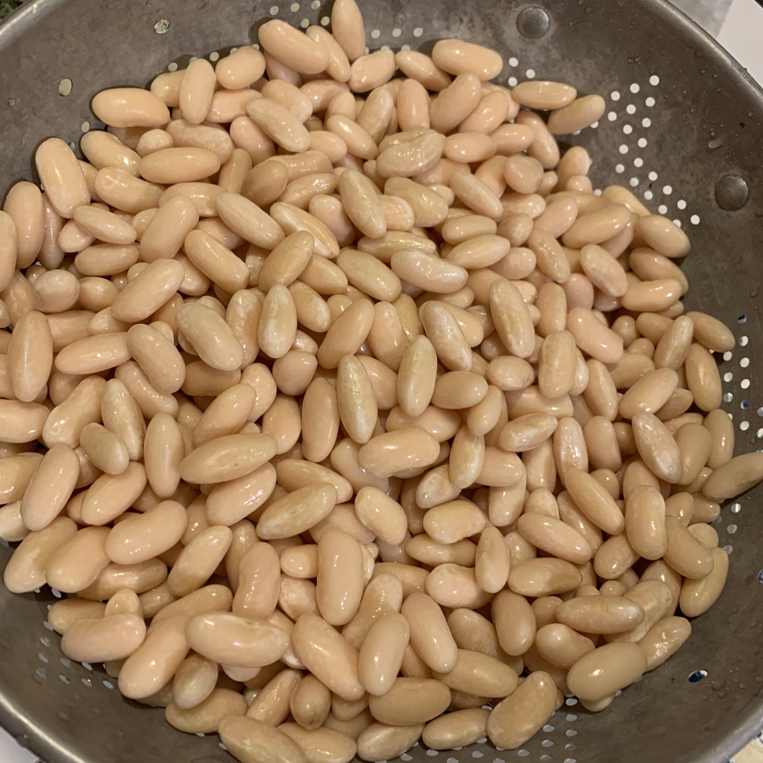 soaked white kidney beans are twice the size of dried 