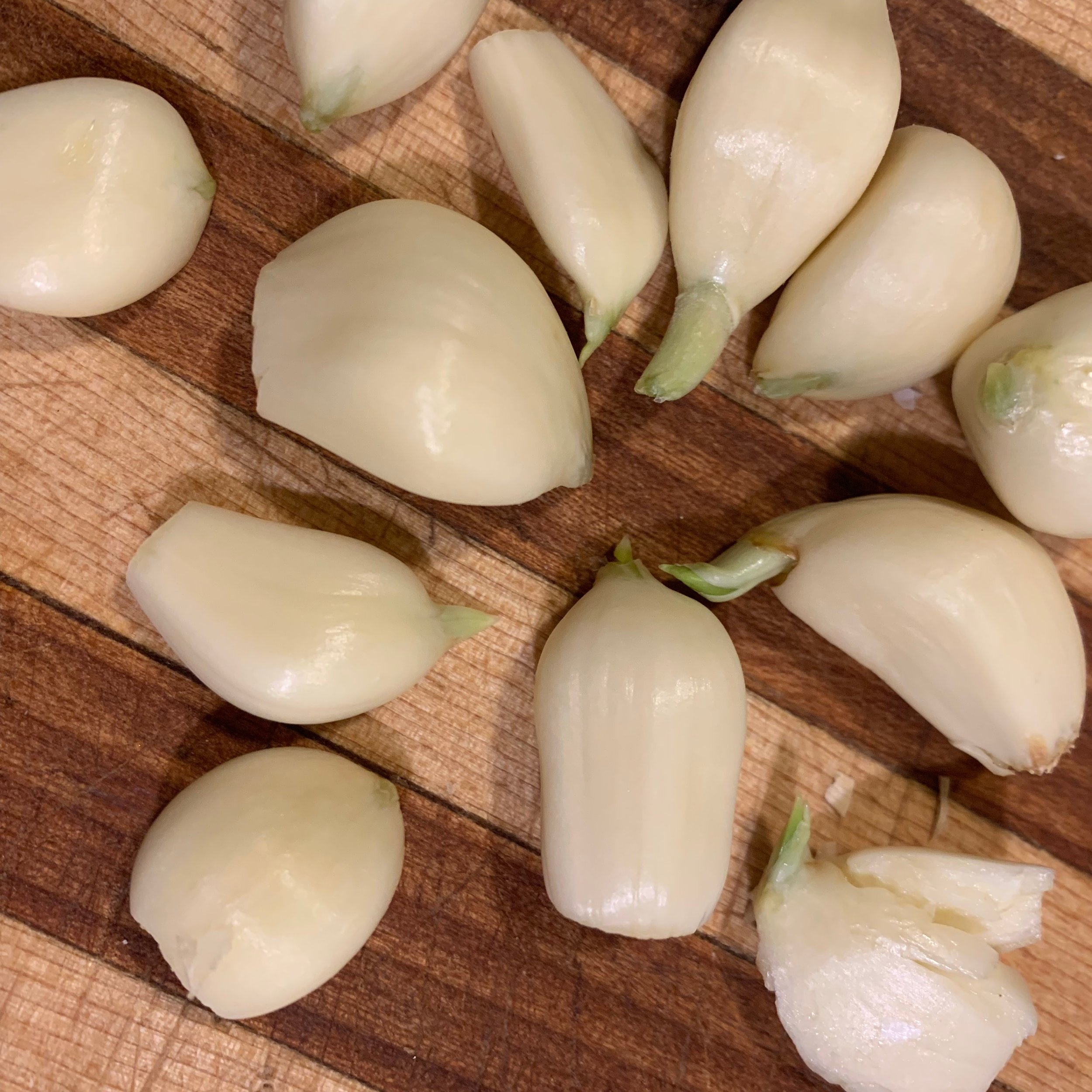 spouted garlic has extremely bio-available nutrients