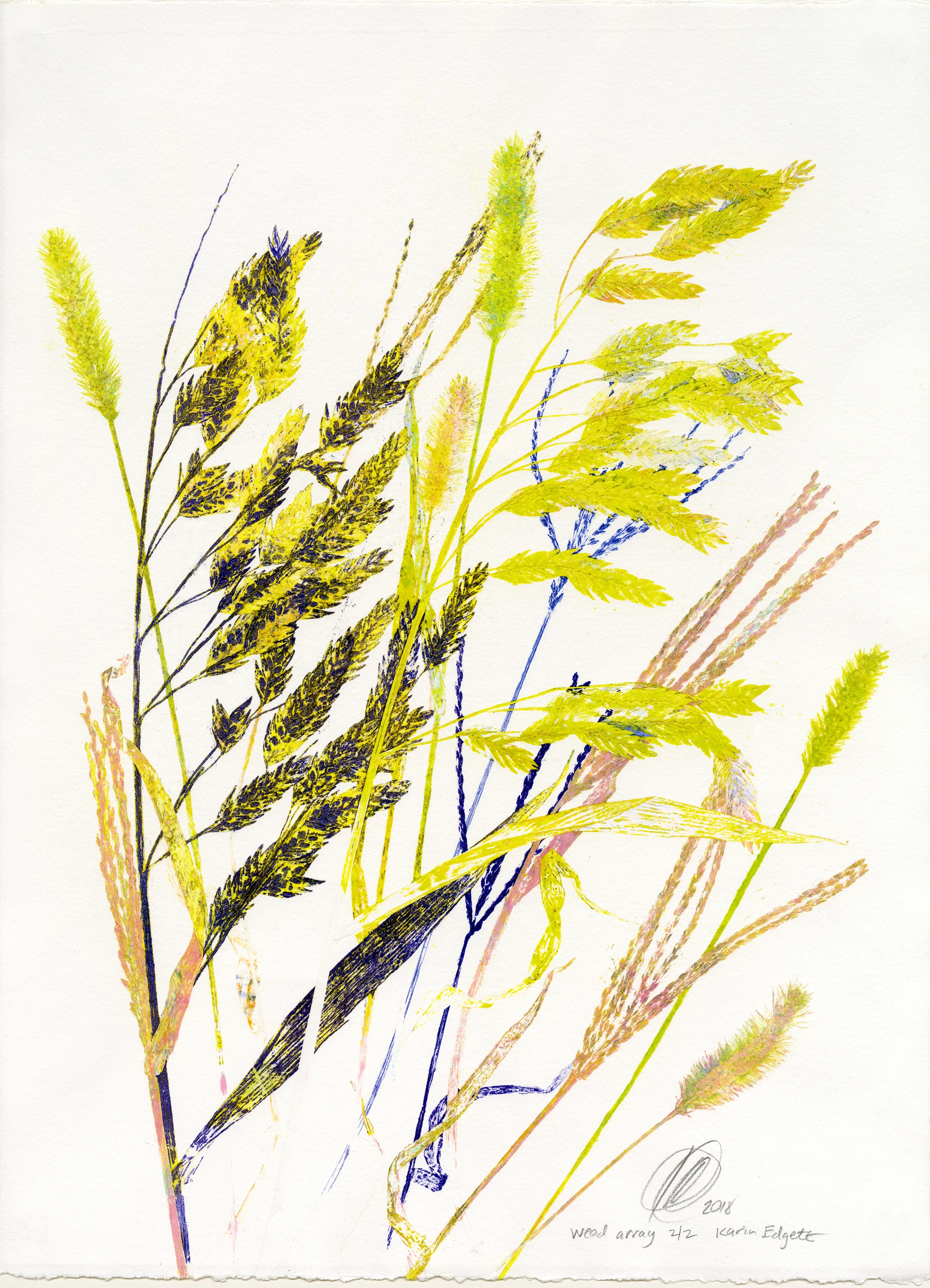 Weed Array 2/2