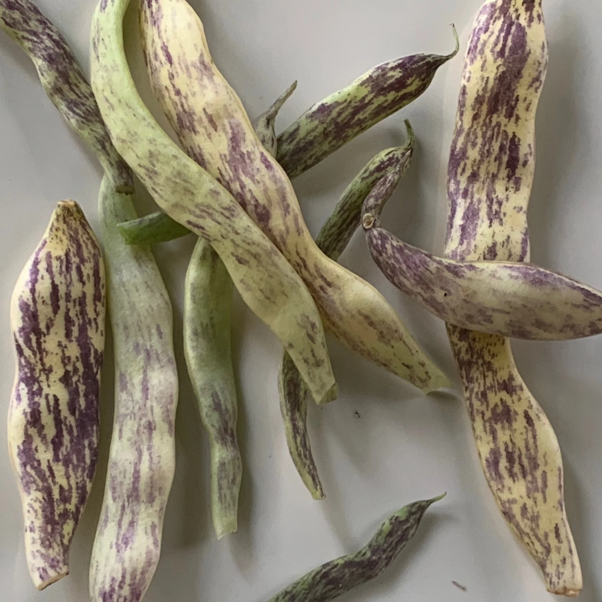 Dragon Tongue beans and chickpea pasta