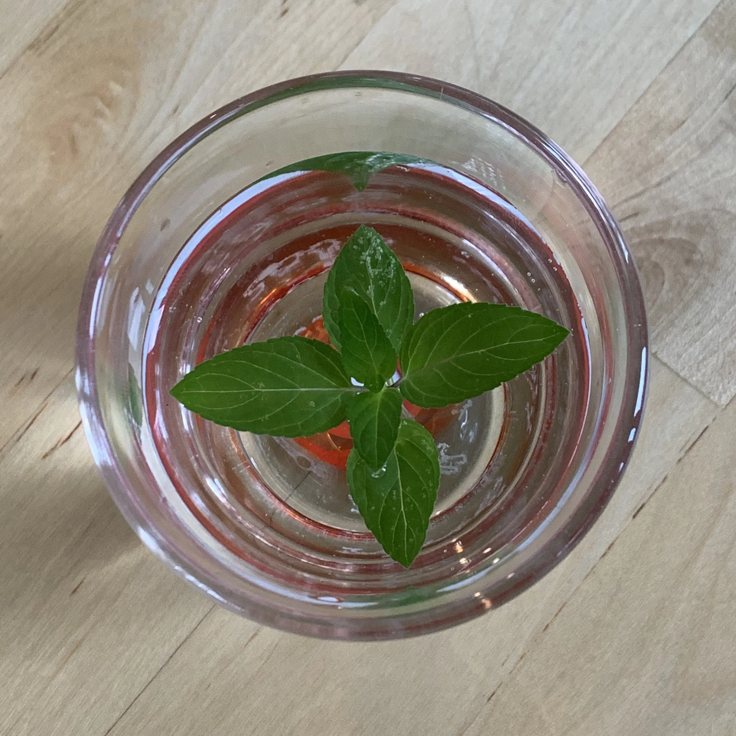 Water: drink your way to optimal health Hill Rag August 2019