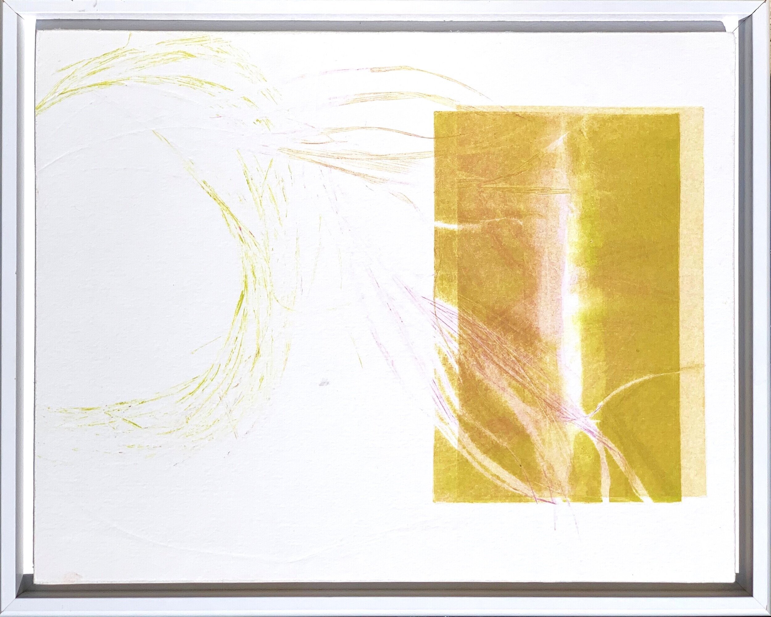 bamboo 2/3