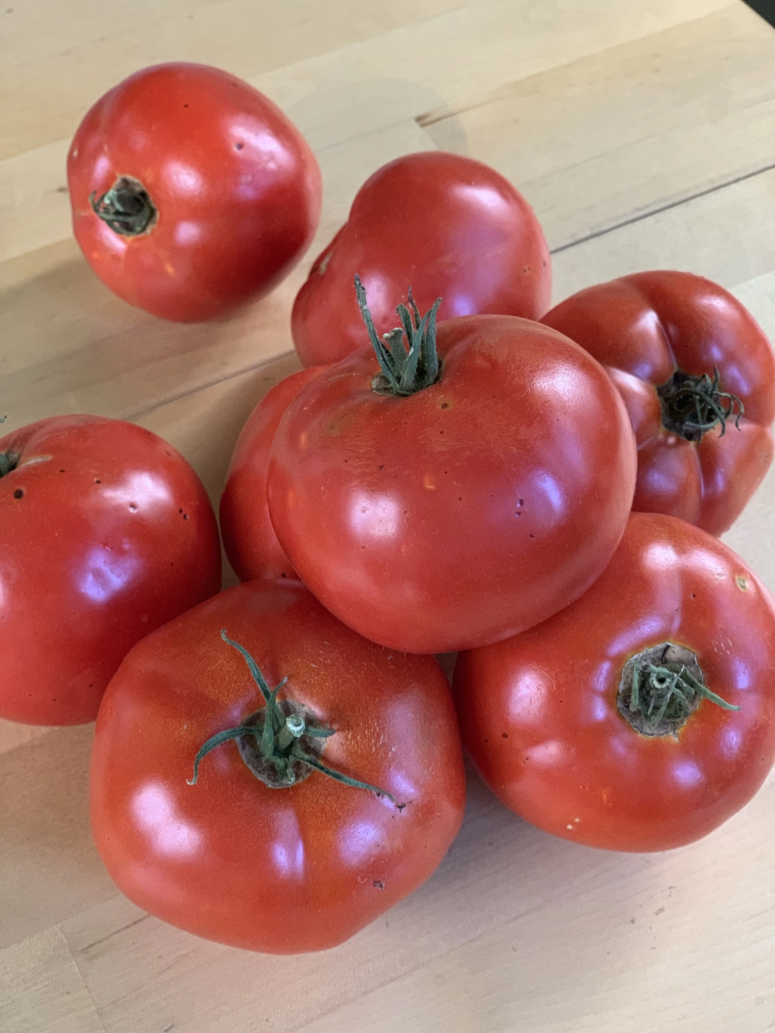 Mexican Oregano Tomato sauce/soup