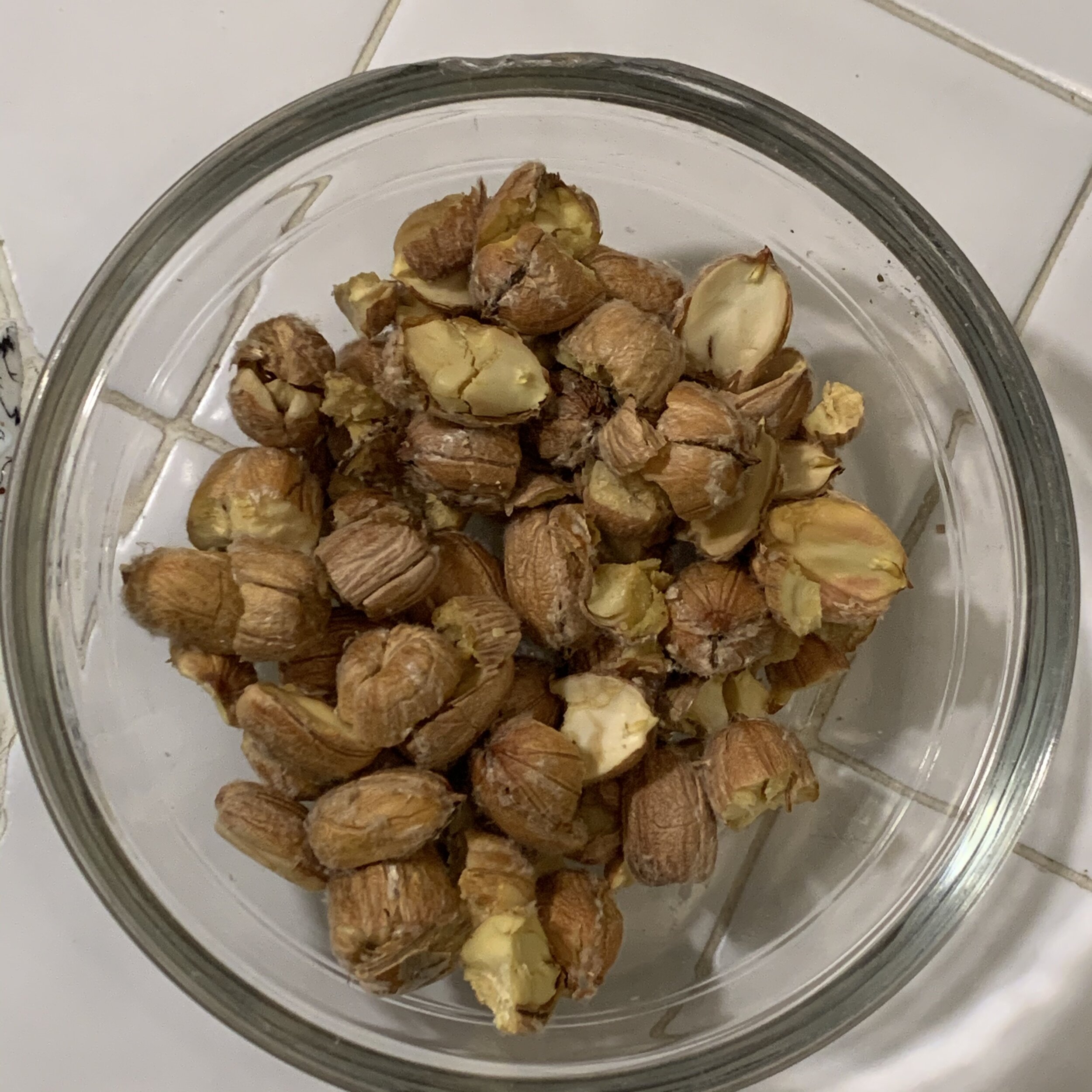 1-2 cups of acorn meat will make 15-20 tortillas