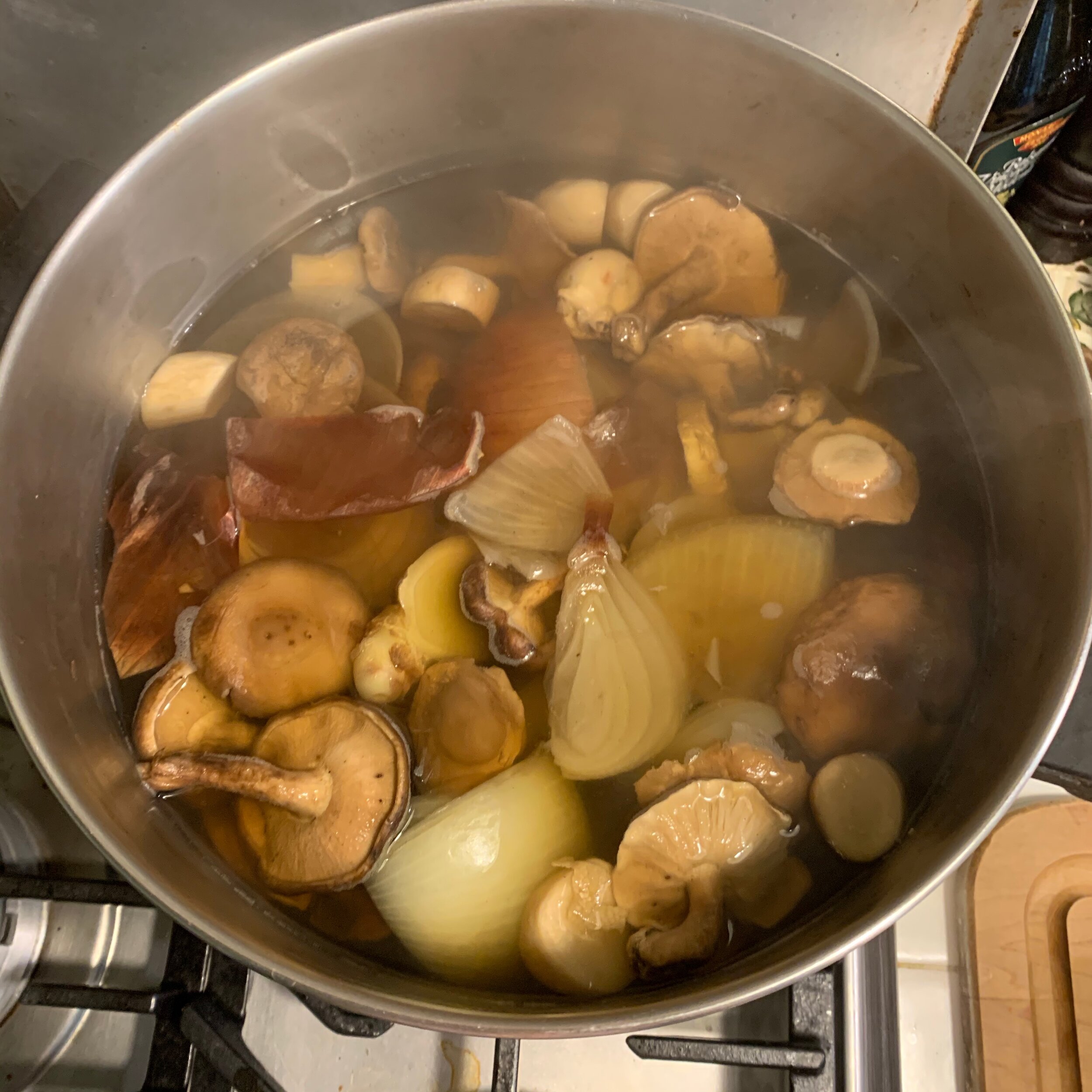 Karin's Mineral-Rich Mushroom Broth