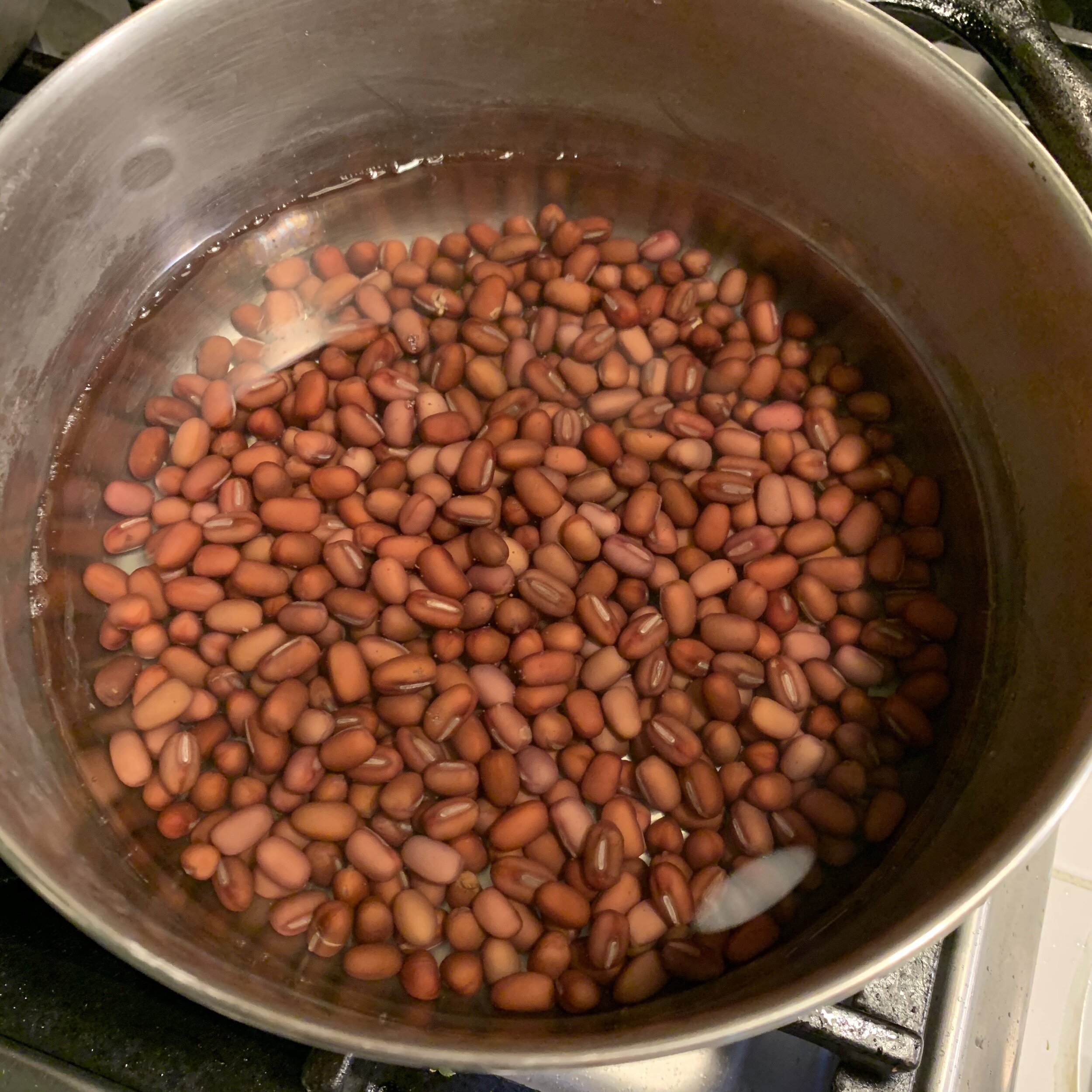 beans in the pot with 3" of water covering them