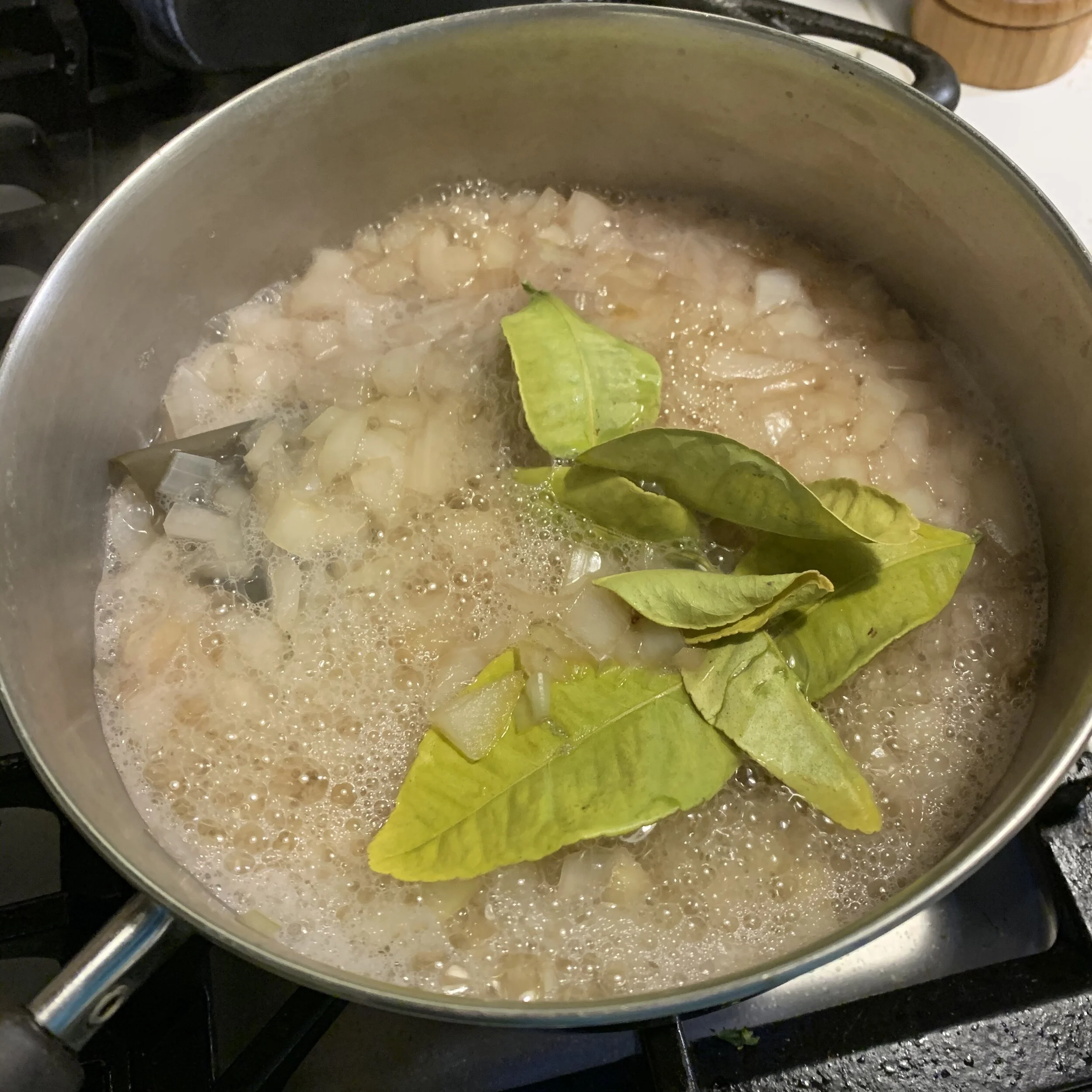 onions and kefir lime leaves ~ yum