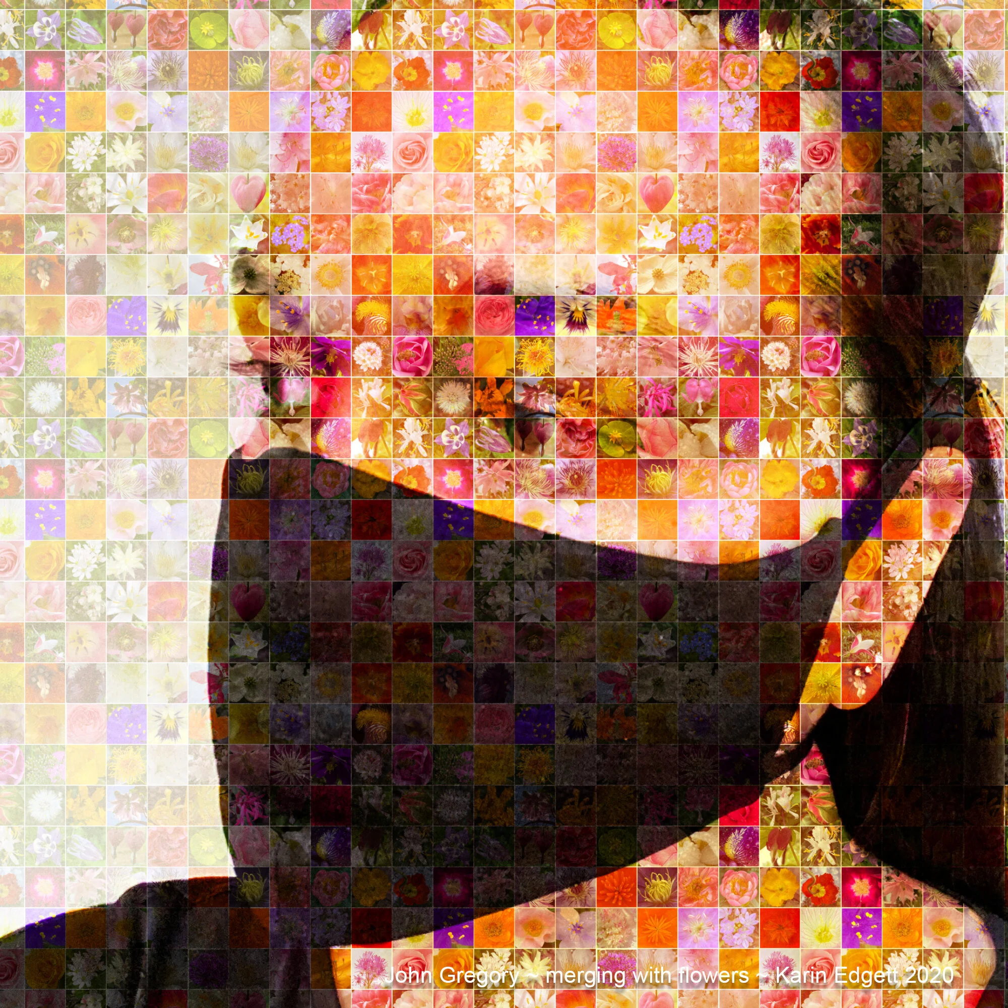 Billie4.jpg