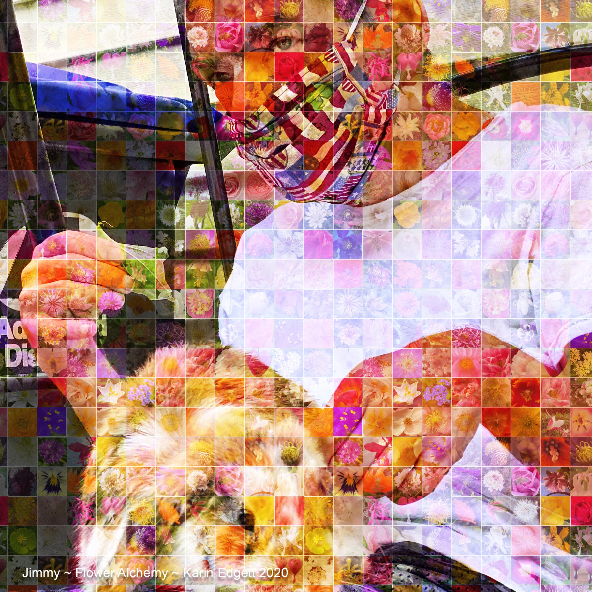 Jimmy.jpg