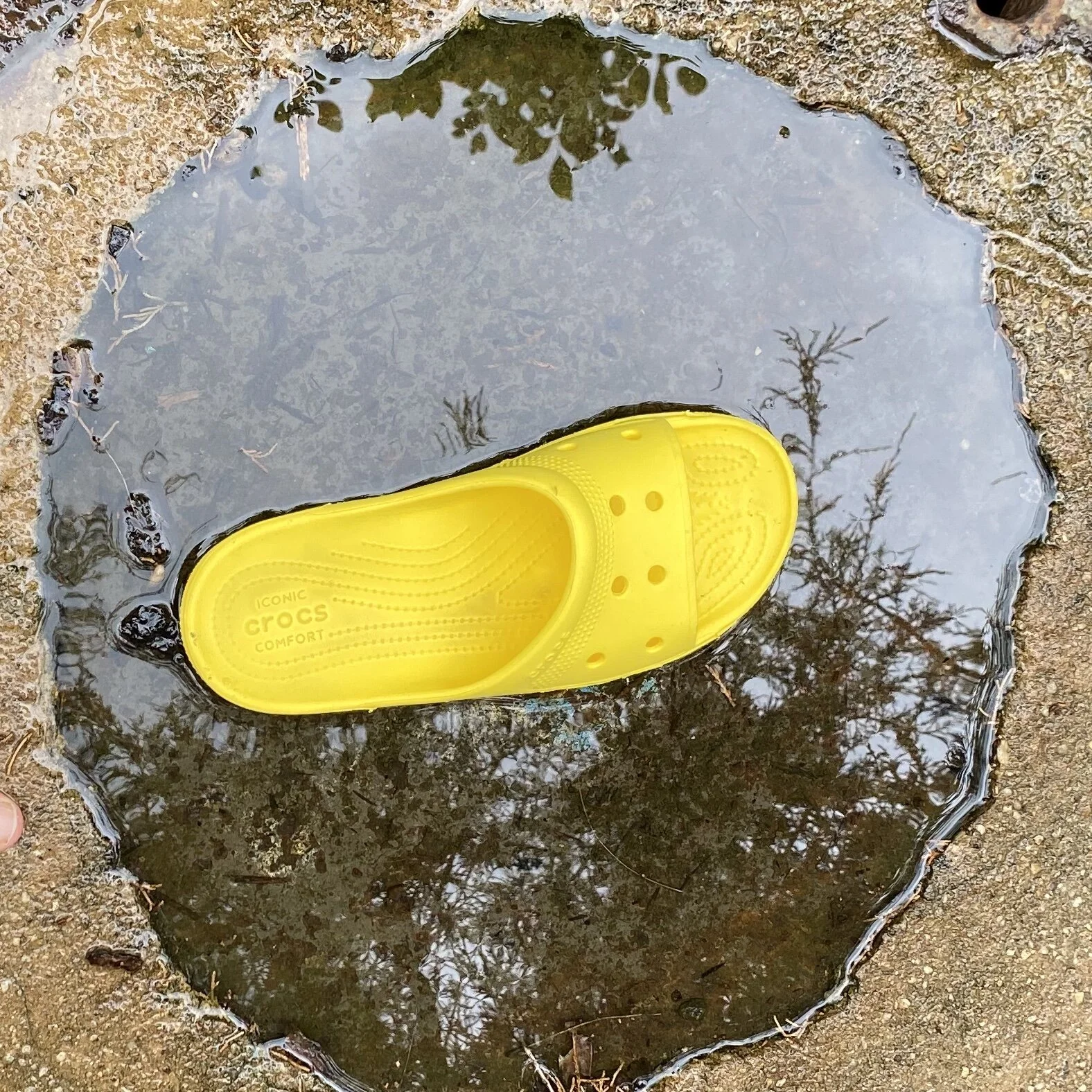 Film Short ~ My Yellow Shoe