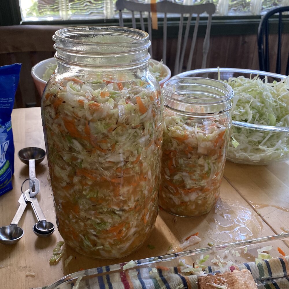 Fill the jars with the mixture of cabbage, carrots, salt and any other flavoring