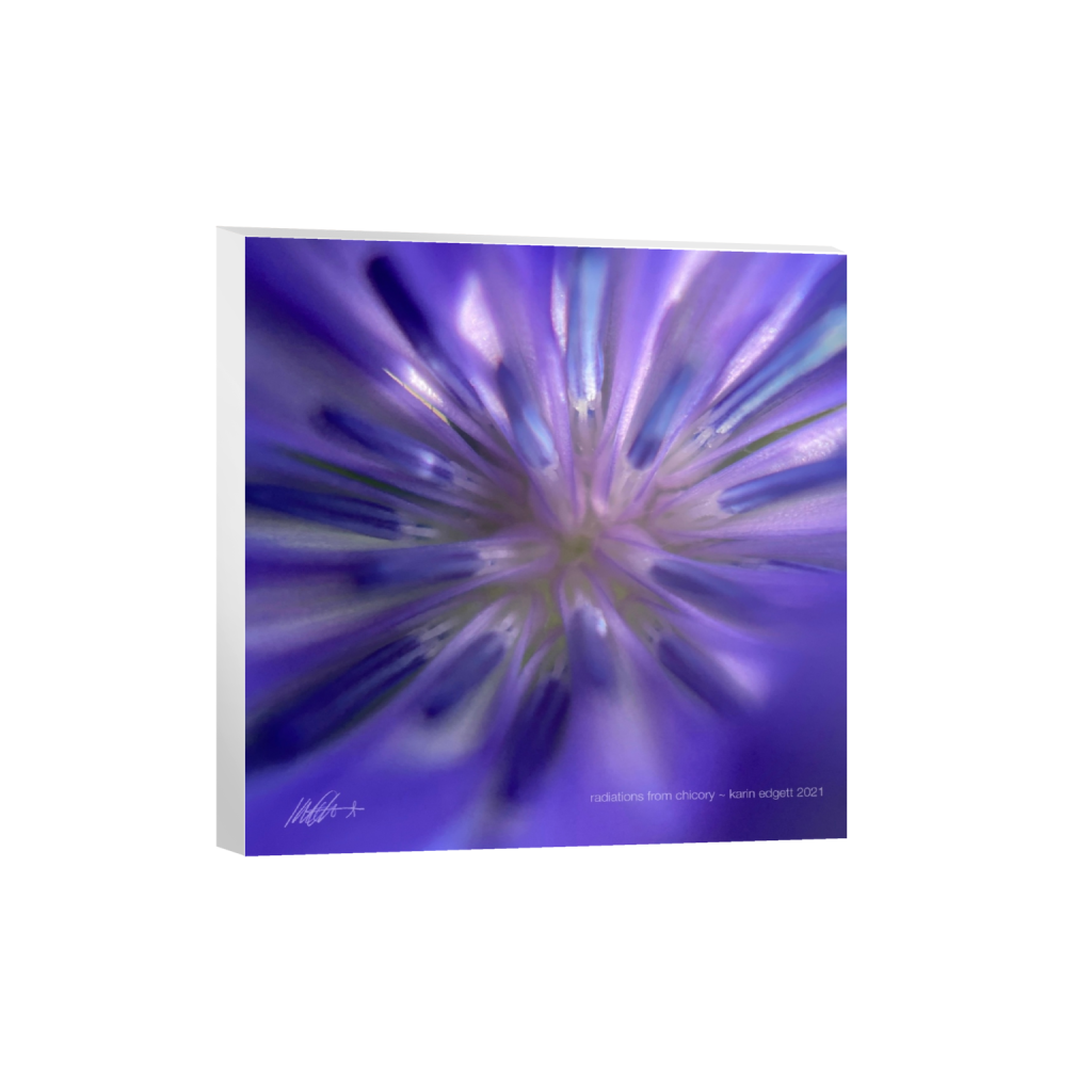 canvas_square_0_0_4800_4800_0_false_ffffff_0_0.png