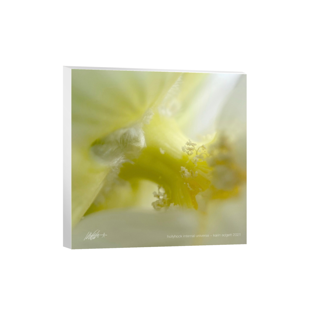 canvas_square_0_0_4800_4800_0_false_ffffff_0_0.png