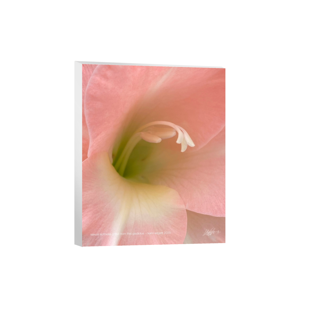 canvas_rectangle4_5_0_0_4800_6000_0_false_ffffff_0_0.png