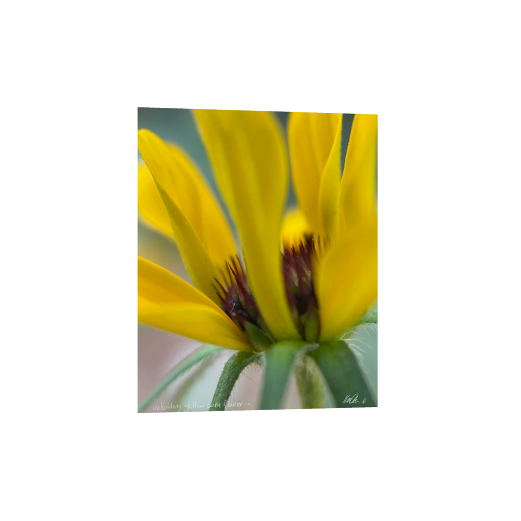 fineartprints_rectangle4_5_0_63_1537_1921_0_false_ffffff_0_0.png