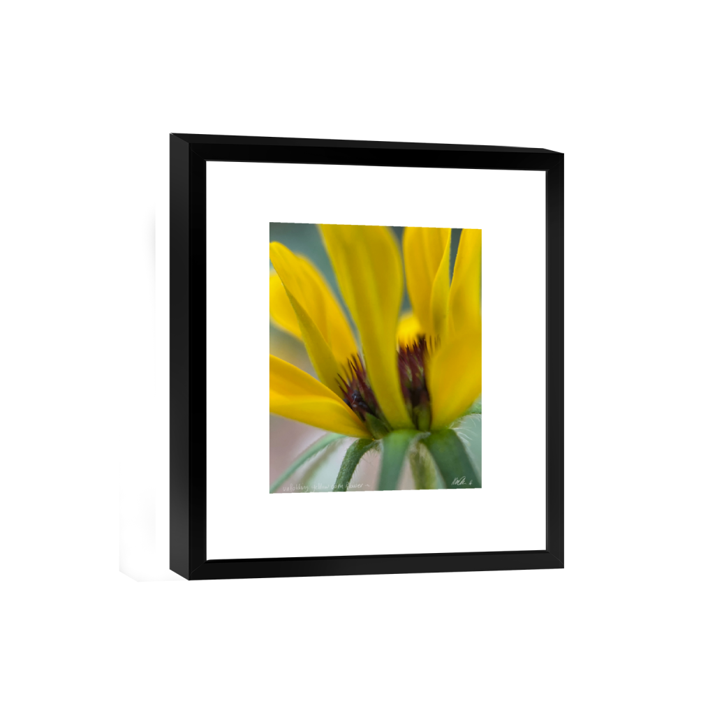 smartframe_rectangle4_5_0_63_1537_1921_0_false_ffffff_0_0.png