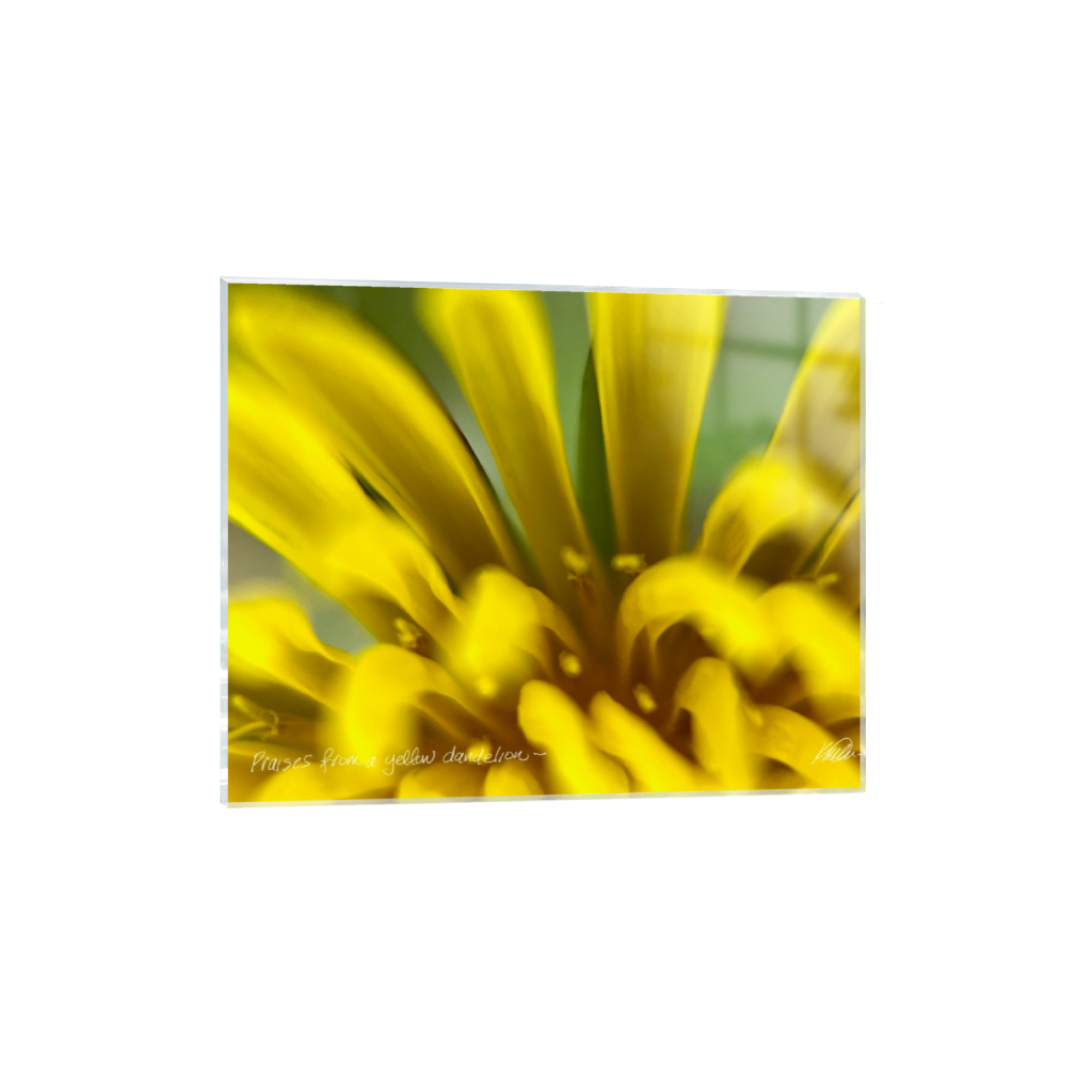 acrylicprint_rectangle4_5_85_0_2560_2048_0_false_ffffff_0_0.png