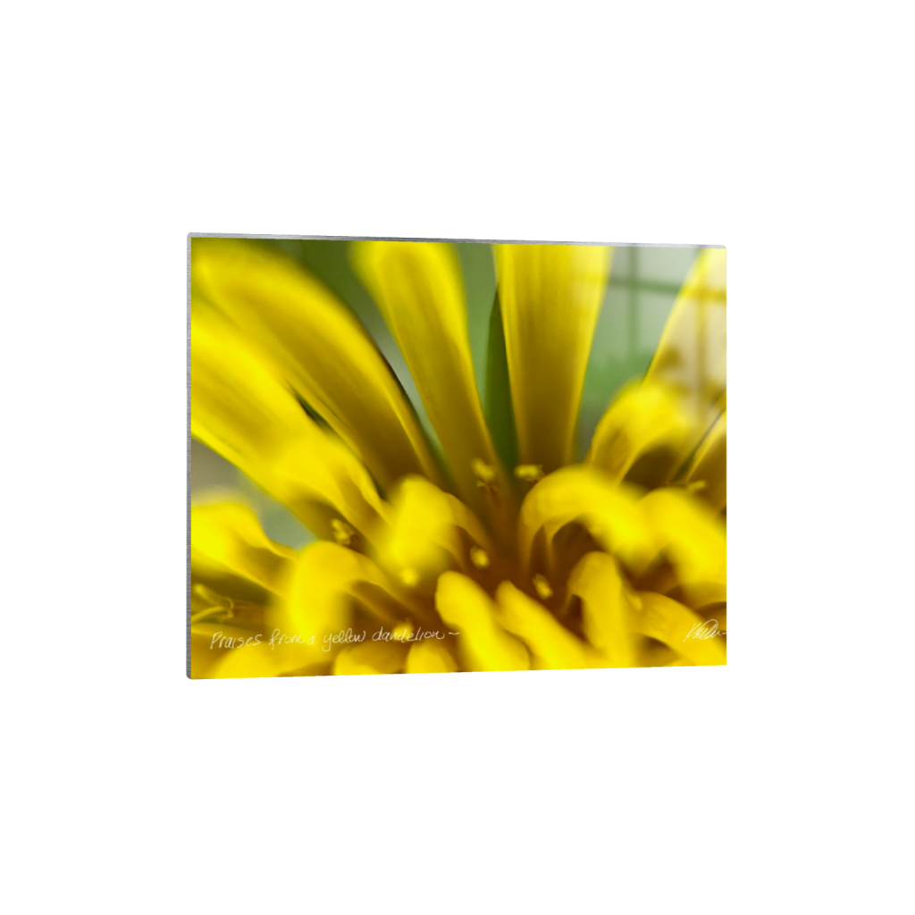 metalprint_rectangle4_5_85_0_2560_2048_0_false_ffffff_0_0.png