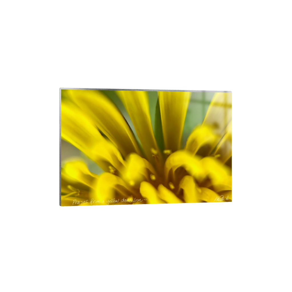 metalprint_rectangle2_3_0_113_2731_1820_0_false_ffffff_0_0.png